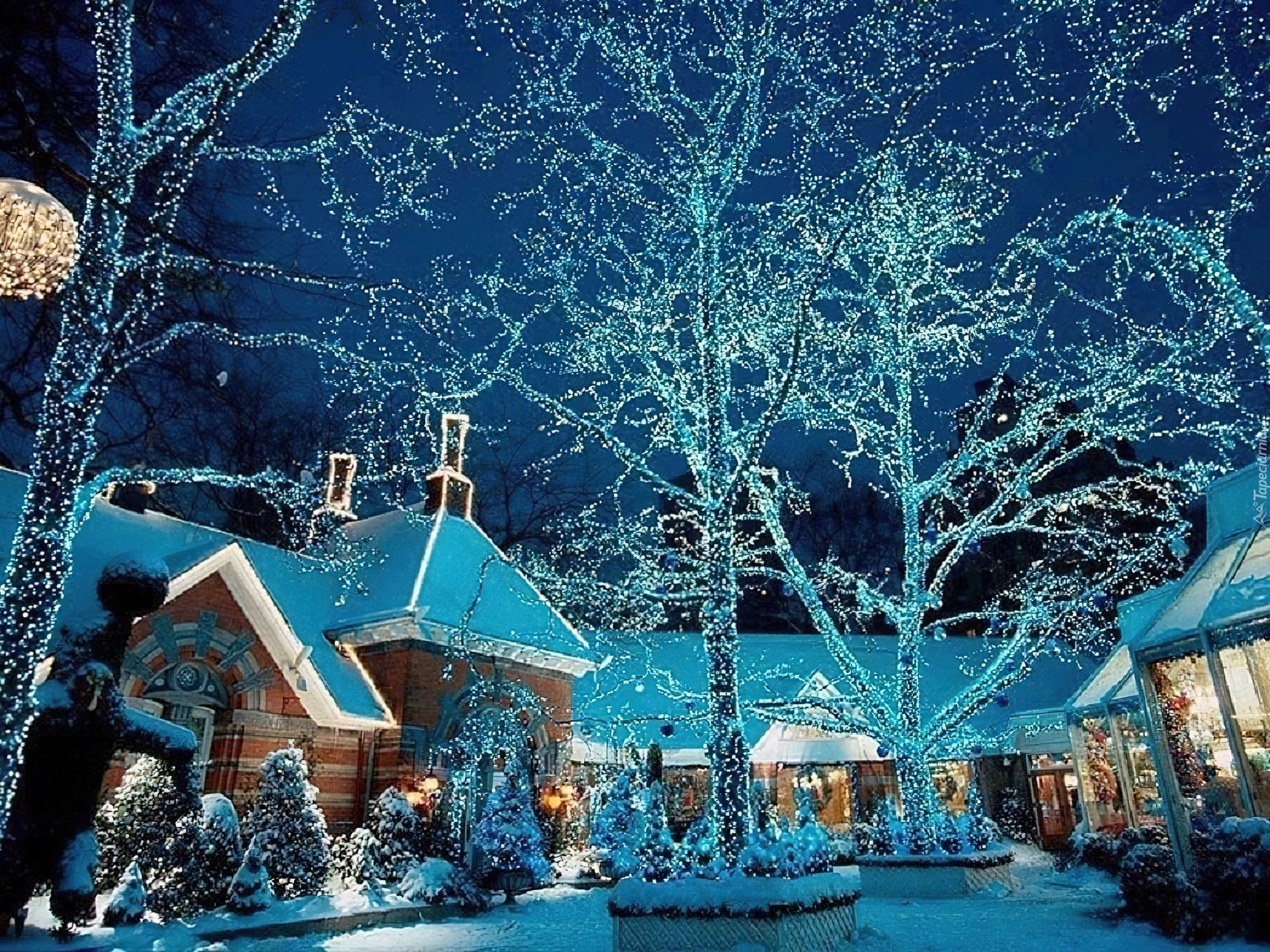 Domy, Drzewa, Boże, Narodzenie