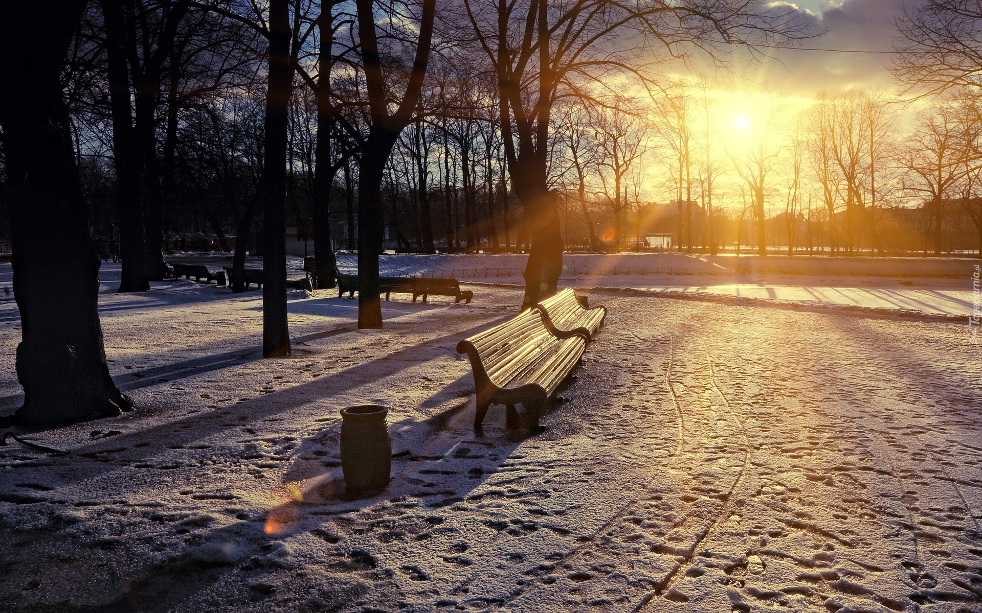 Park, Zima, Przebijające, Słońce, Ławki, Drzewa