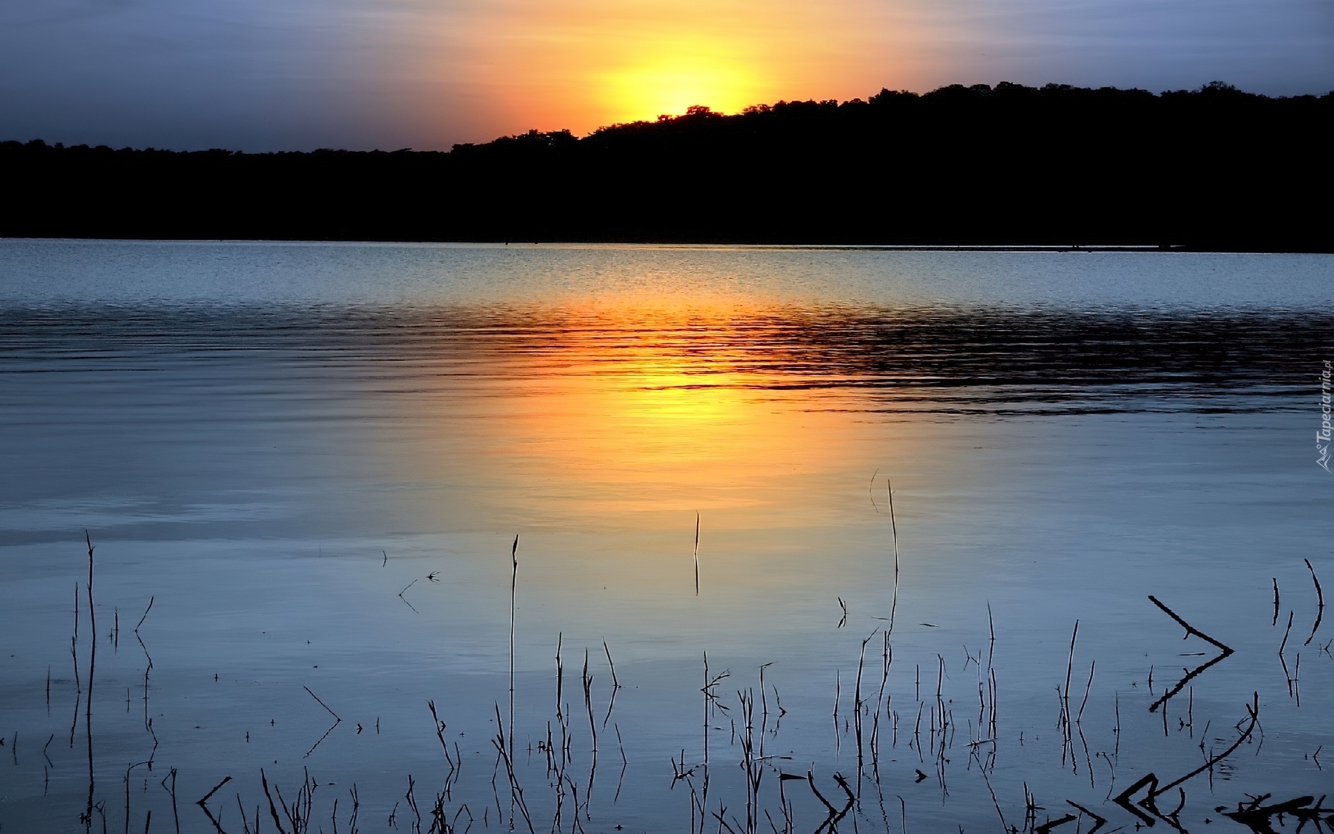 Jezioro, Zachód, Słońca, Las