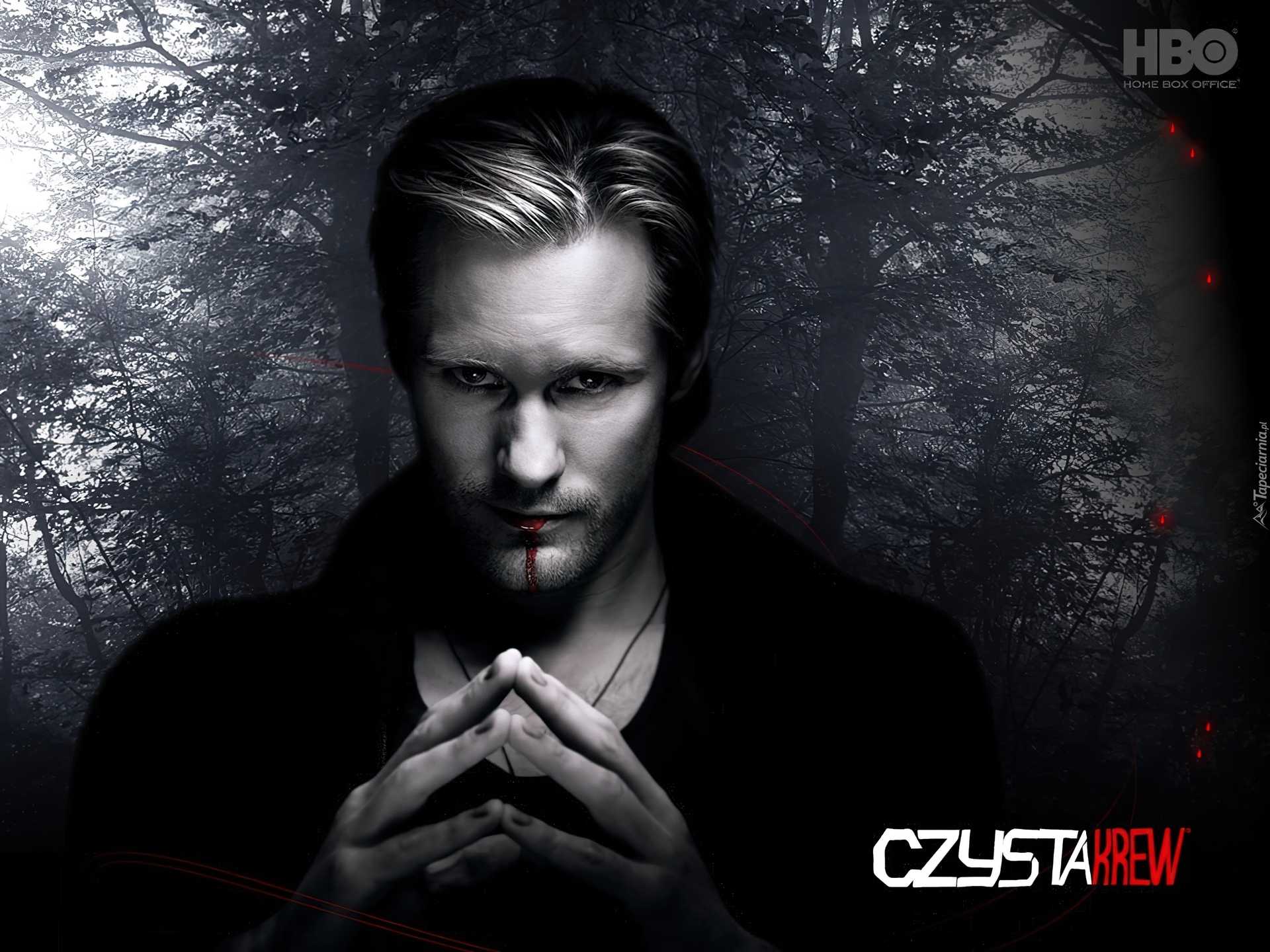 Czysta krew, True Blood, Alexander Skarsgard