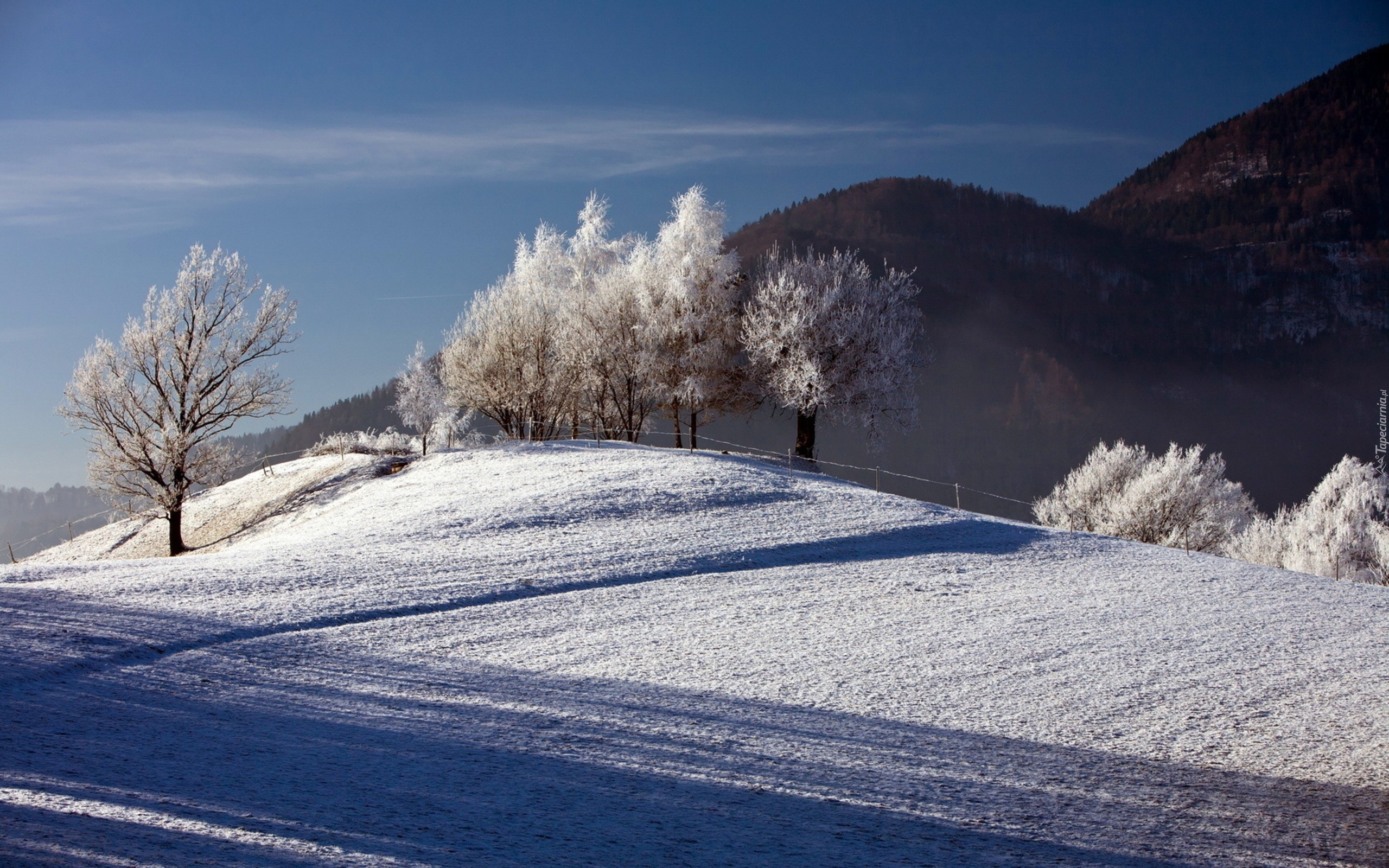 Góry, Pola, Drzewa, Zima