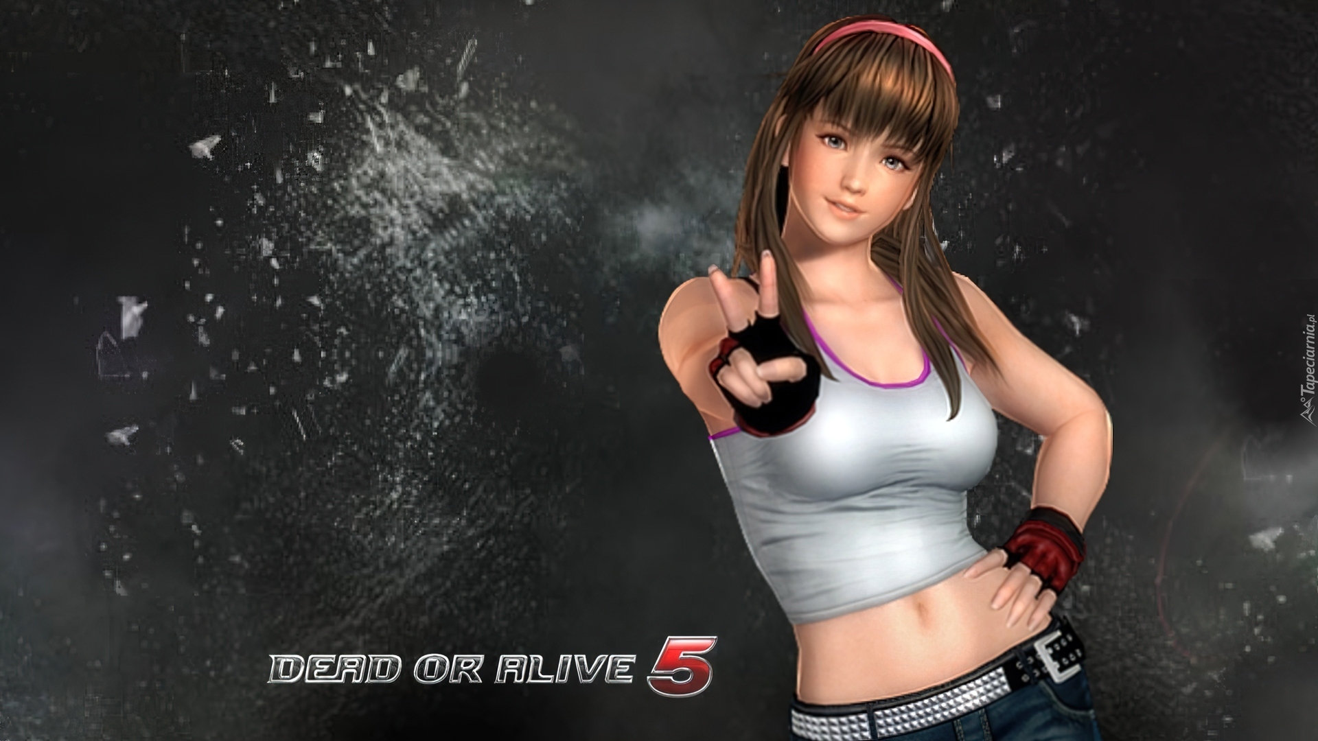 Dead Of Alive 5, Hitomi