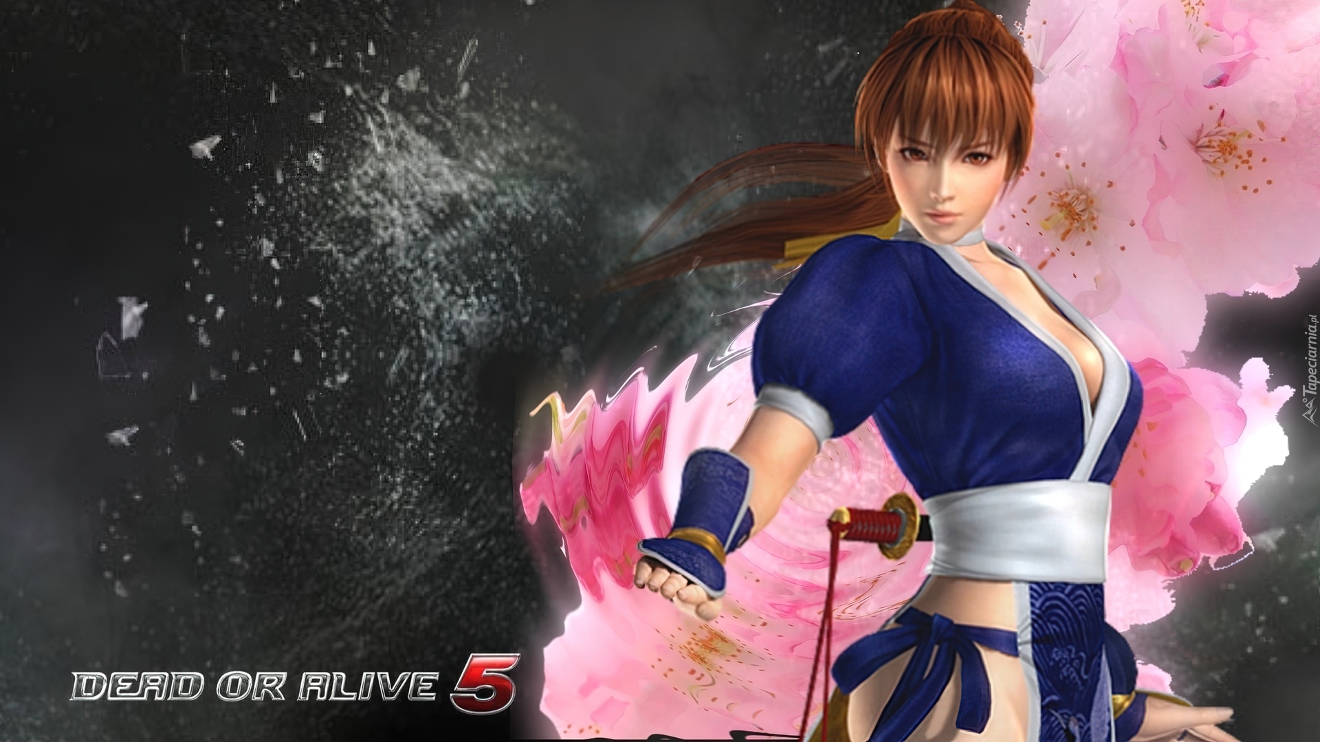 Dead Of Alive 5, Kasumi