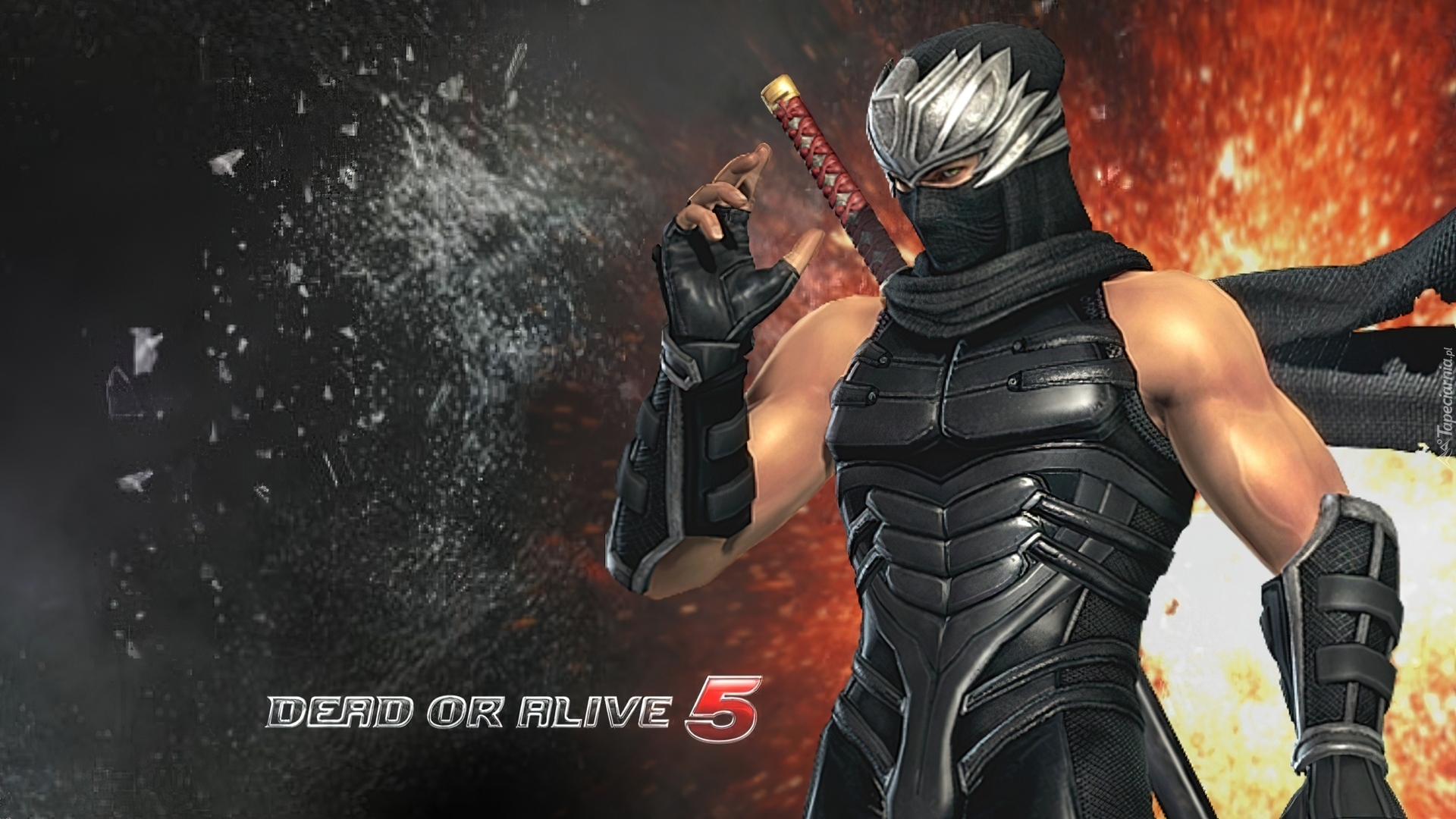 Dead Of Alive 5, Ryu Hayabusa