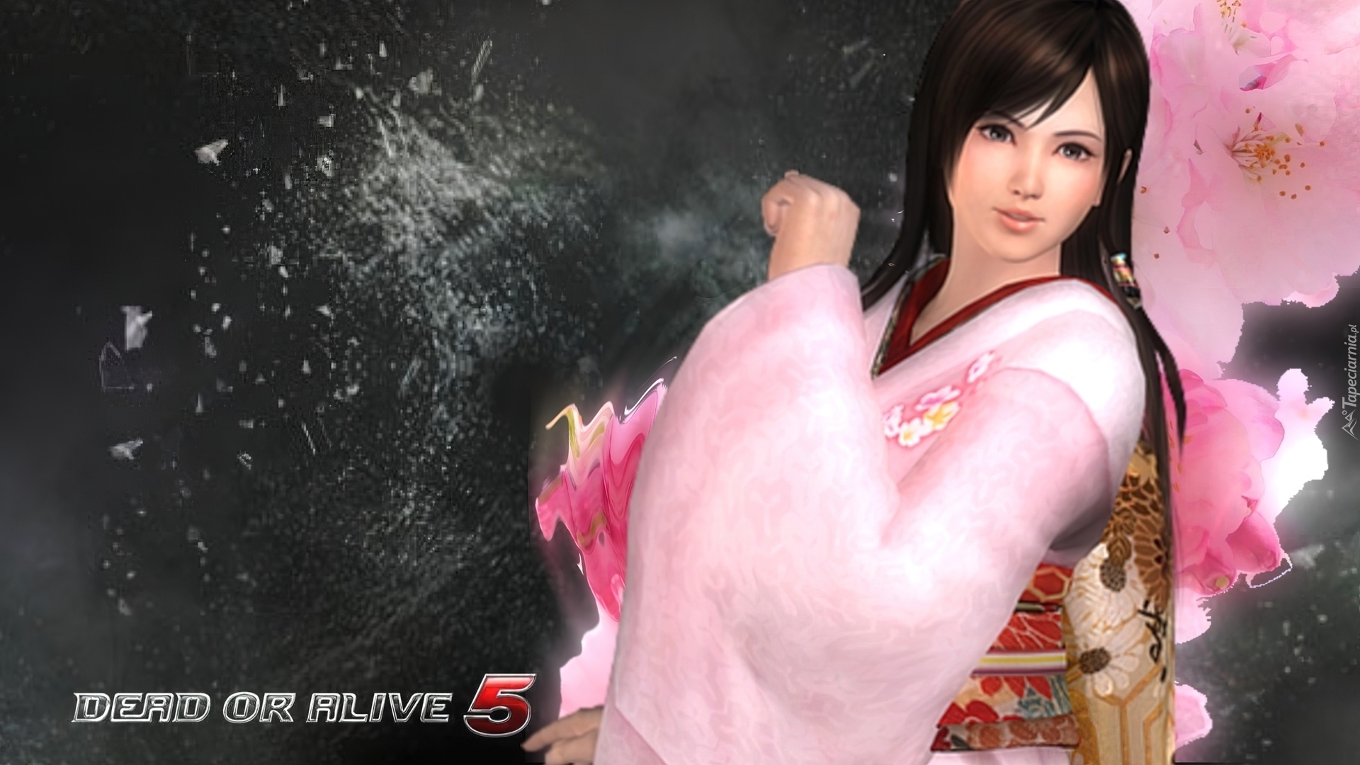 Dead Of Alive 5, Kokoro