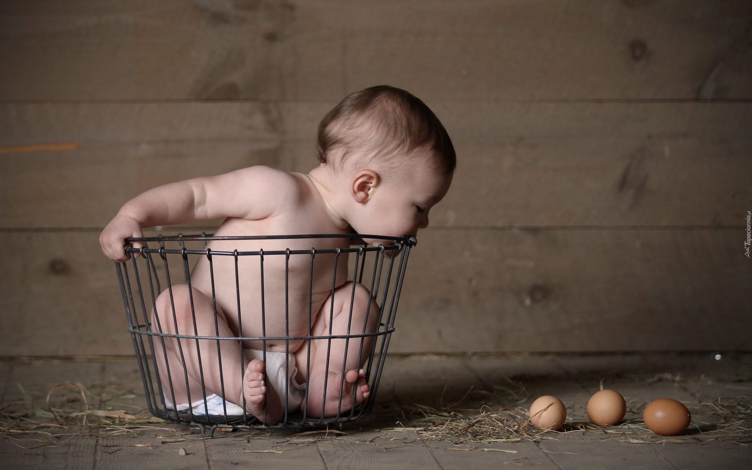 Большое яичко мальчик. Младенец. Заставка на рабочий стол малыши. Корзина для детей. Фотосессия новорожденных.
