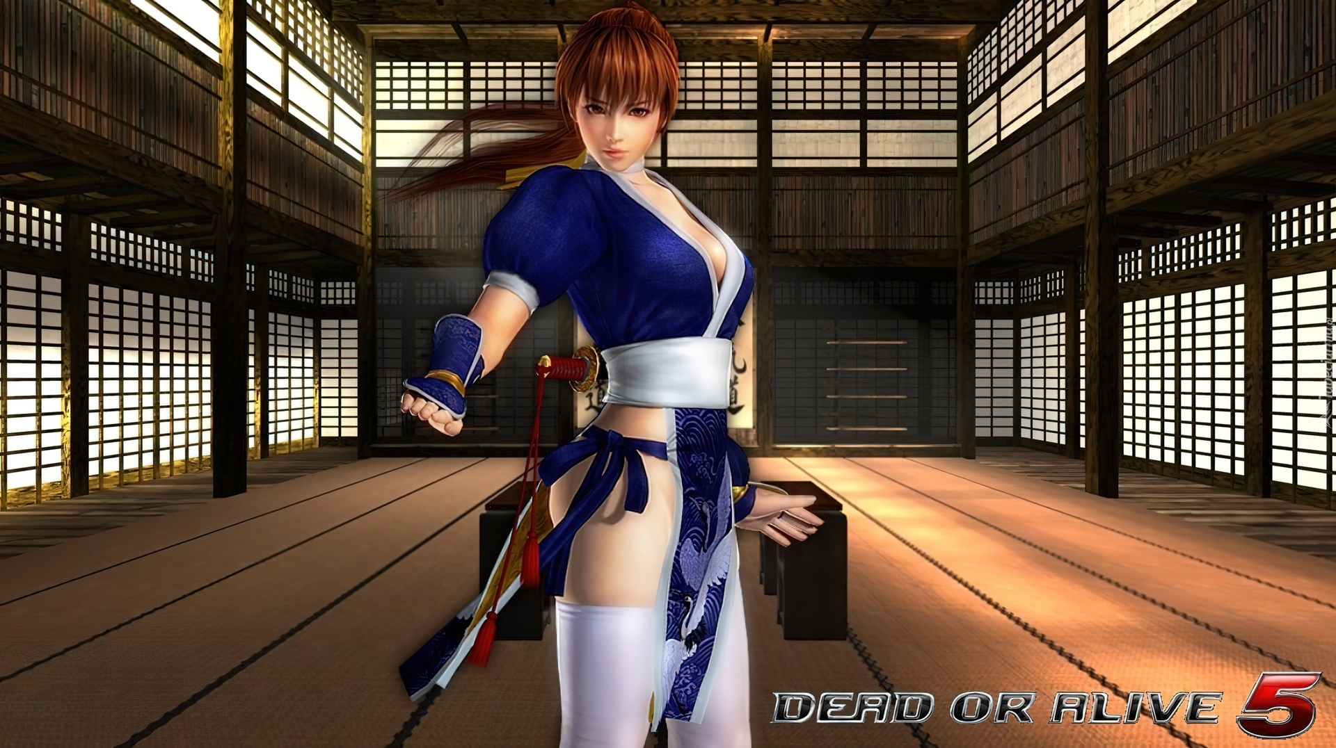 Dead Of Alive 5, Kasumi