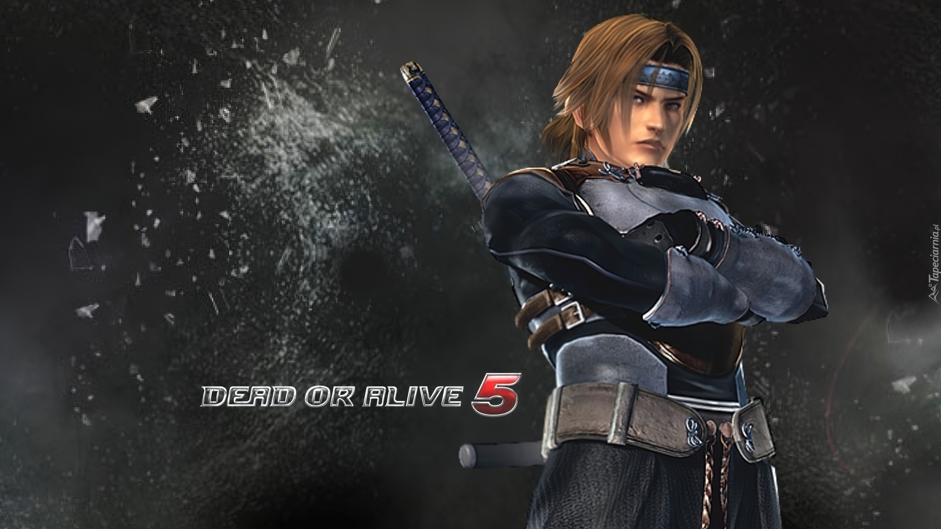 Dead Of Alive 5, Hayate