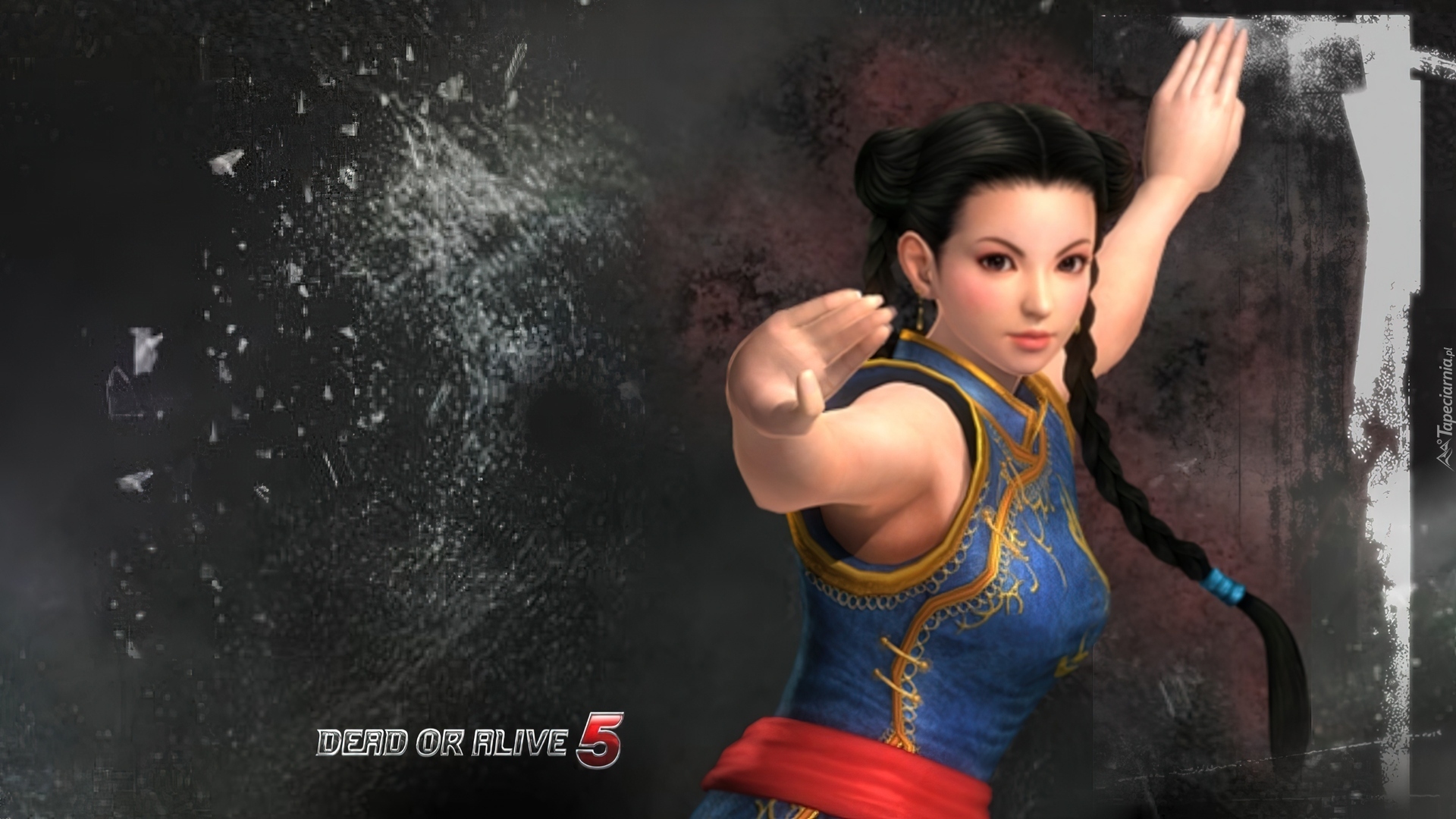 Dead Of Alive 5, Pai