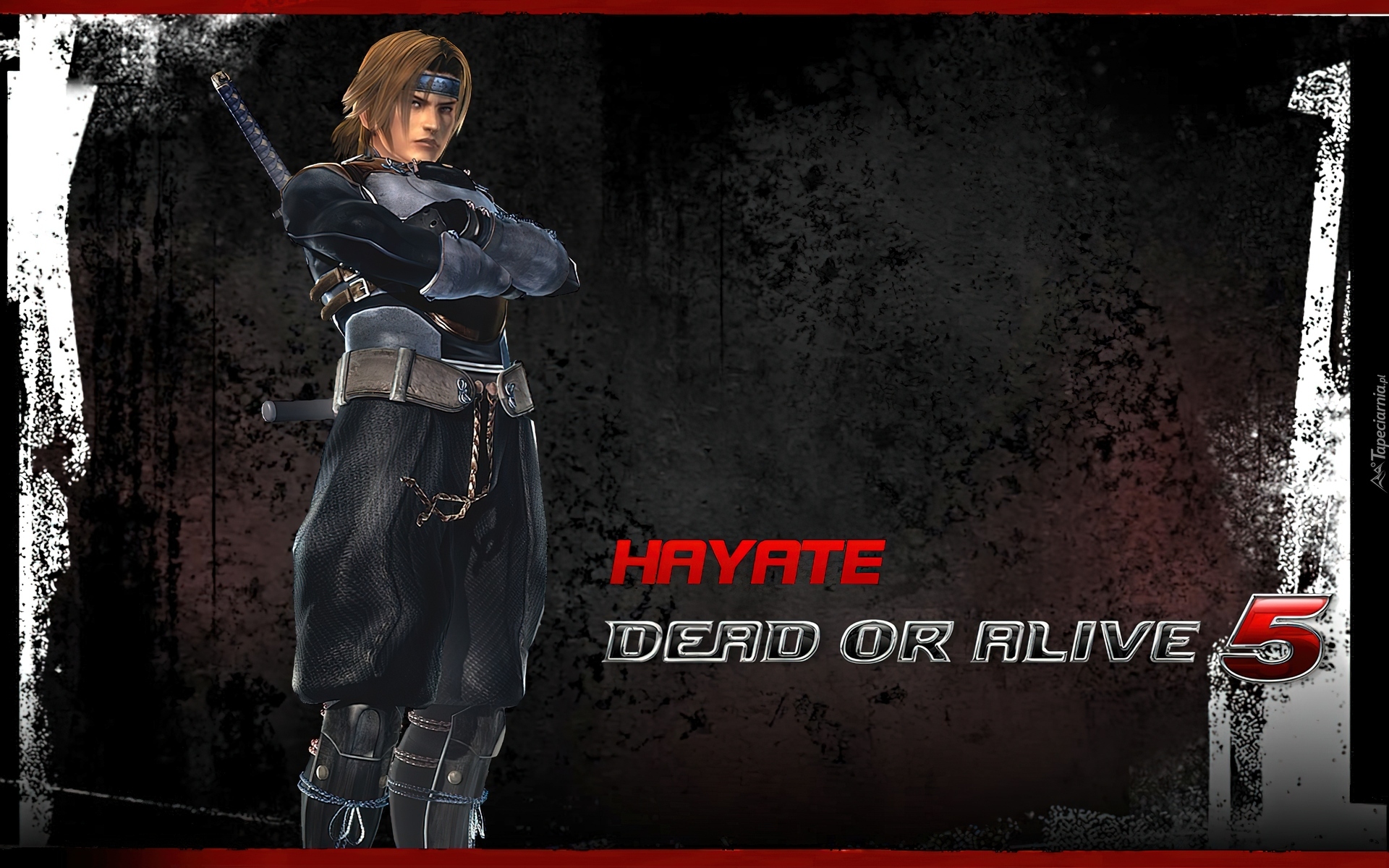 Dead Of Aive 5, Hayate