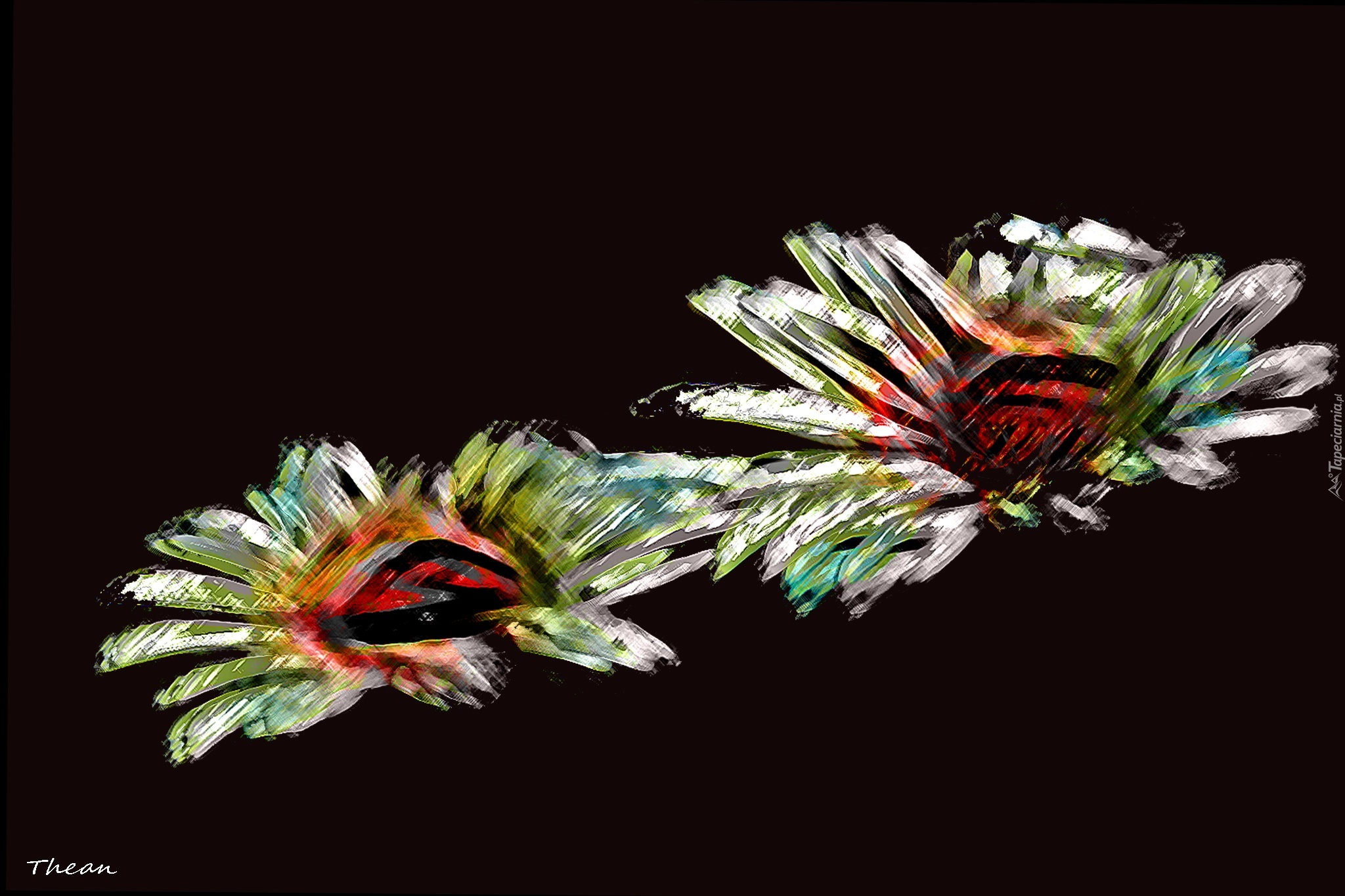 Kwiaty, Fractalius