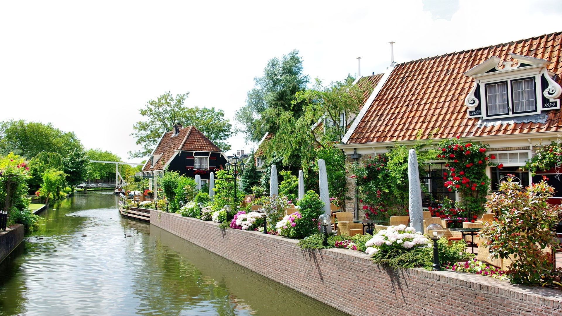 Miasteczko, Abbekerk, Holandia