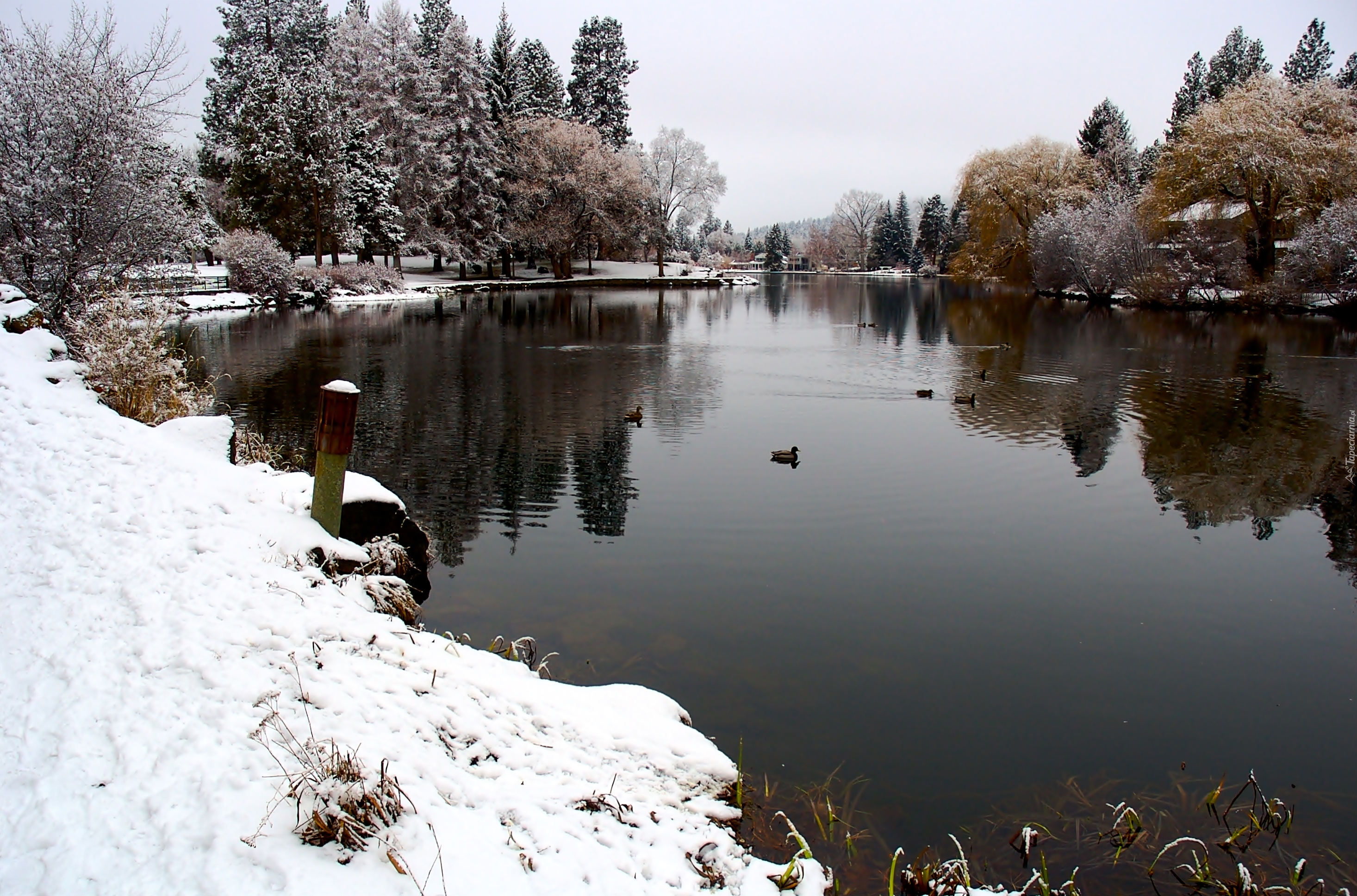 Zima, Jeziorko, Park, Drake, Oregon