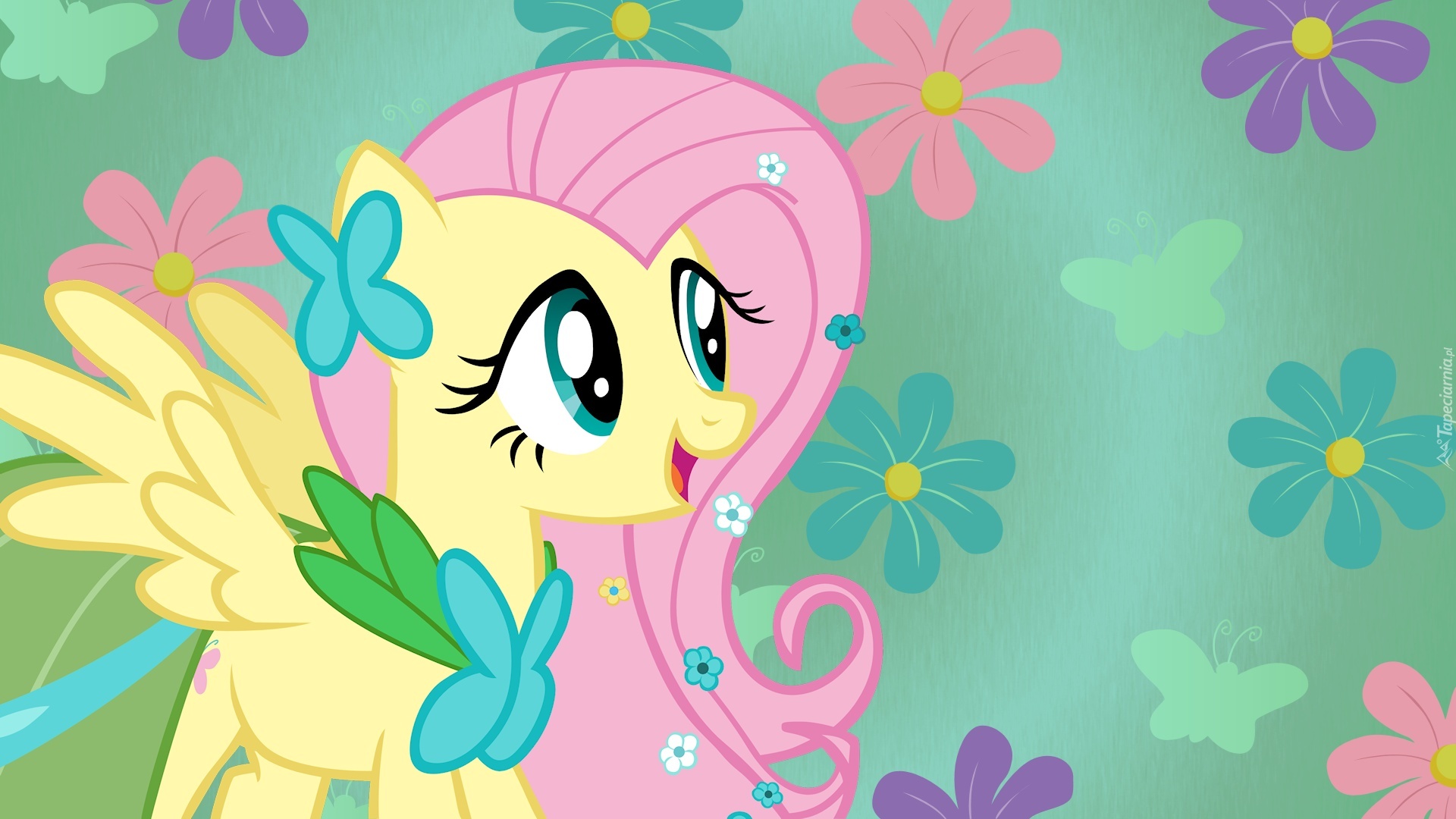 Przyjaźń To Magia, Fluttershy