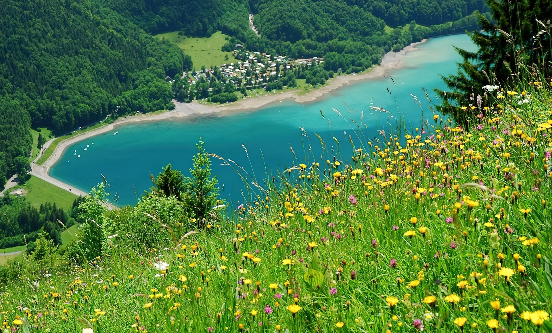 Łąka, Jezioro, Zalesione, Góry, Glarus, Szwajcaria