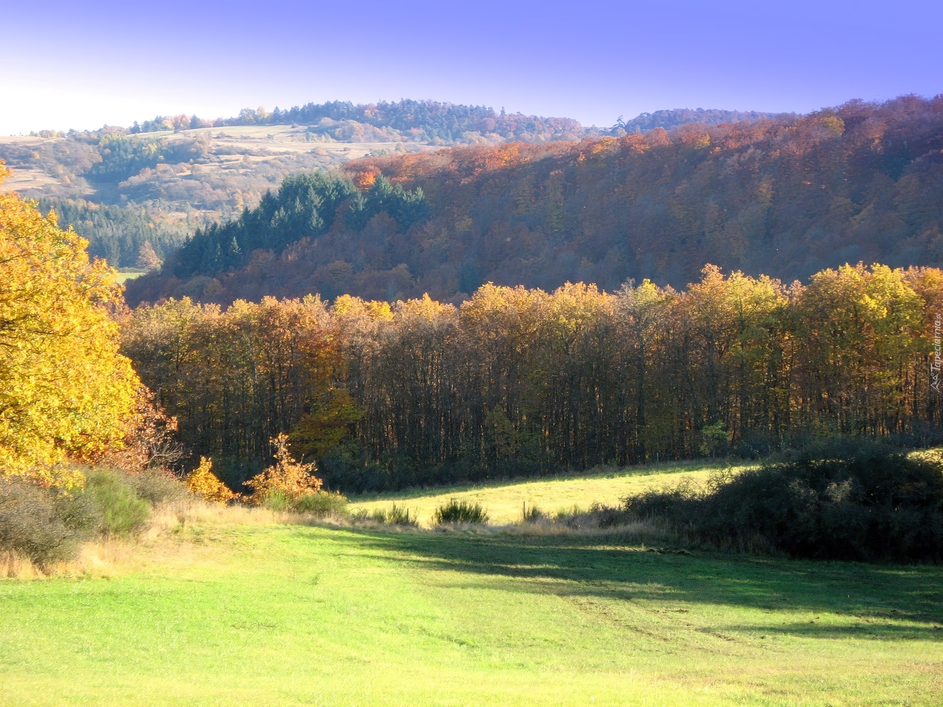 Góry, Las, Łąka