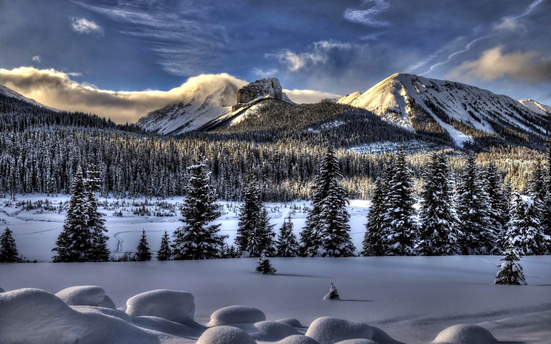 Góry, Las, Zima, Śnieg