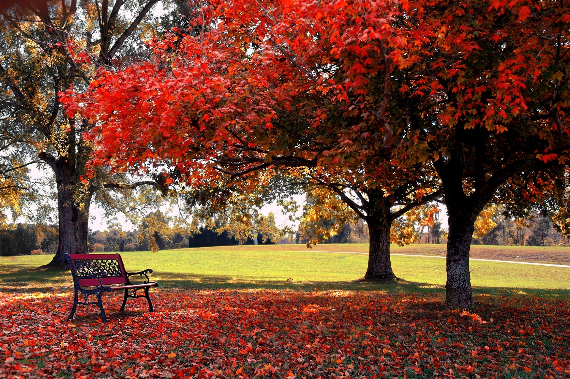 Jesień, Park, Ławeczka