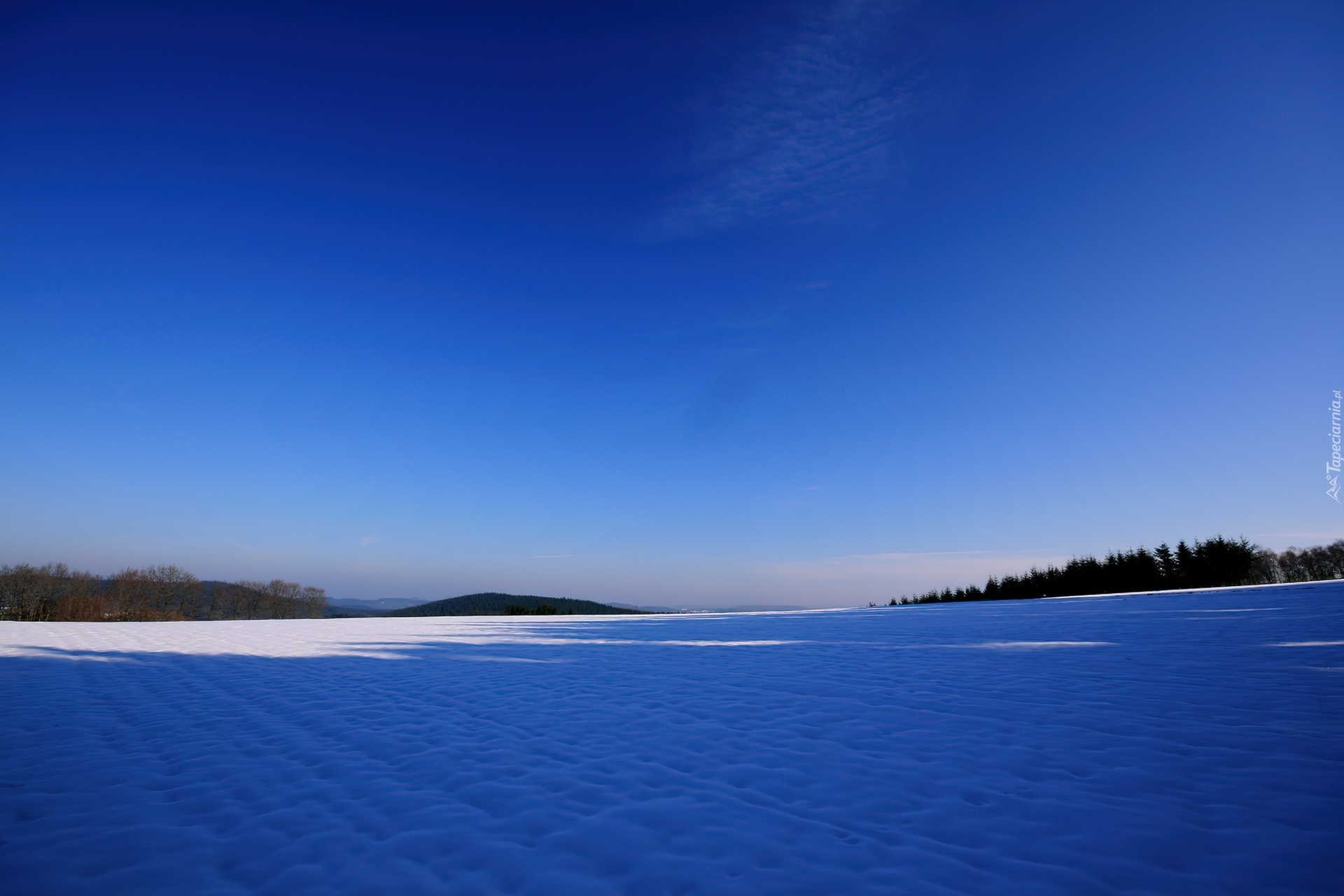 Pole, Śnieg, Las, Zachód, Słońca