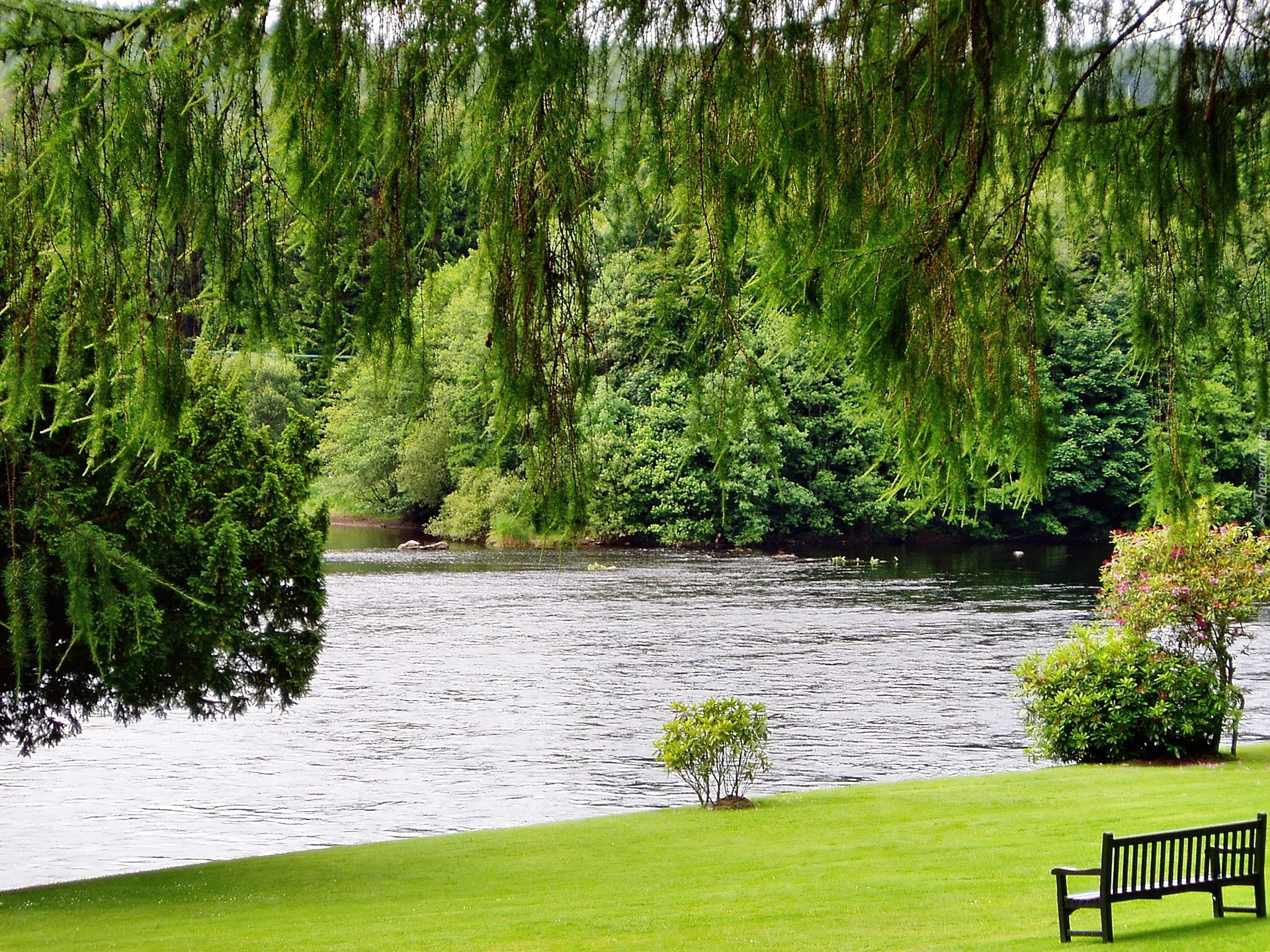 Park, Jeziorko, Ławka, Zieleń