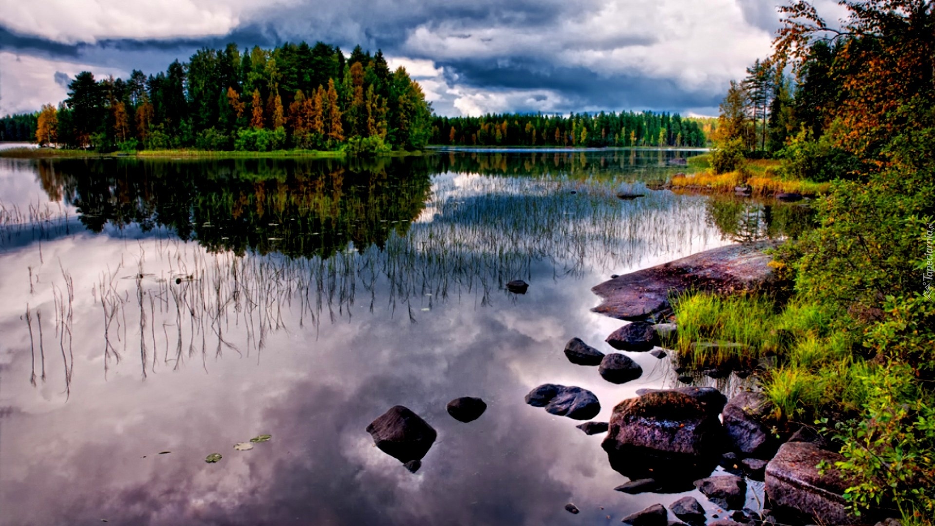 Lasy, Jezioro, Kamienie