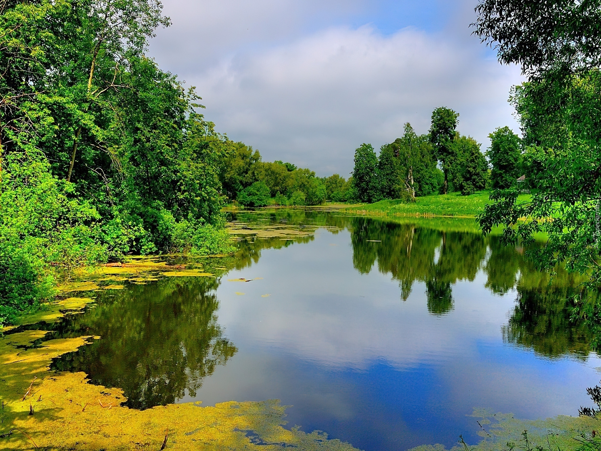 Jezioro, Drzewa, Zieleń