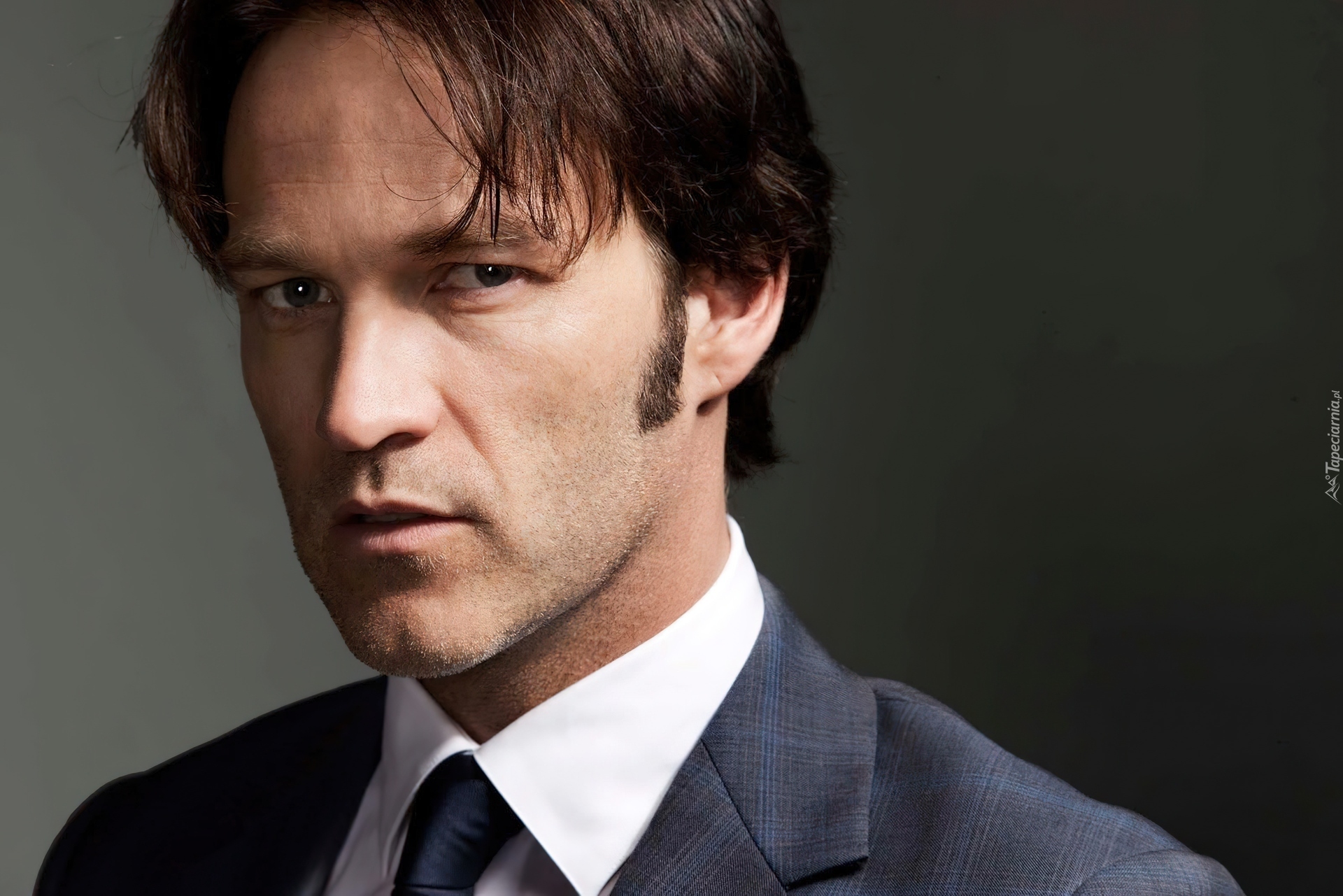 Stephen Moyer, True Blood