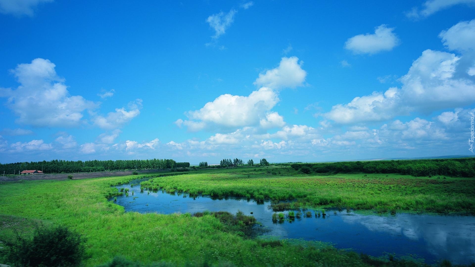 Rzeka, Łąka