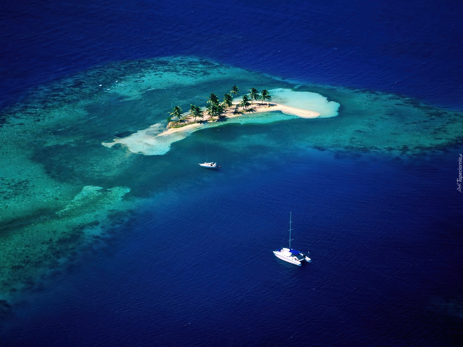 Воды карибских островов. Тортуга остров в Карибском море. Остров Белиз. Карибы Карибское море. Карибы остров Сан Оноре.