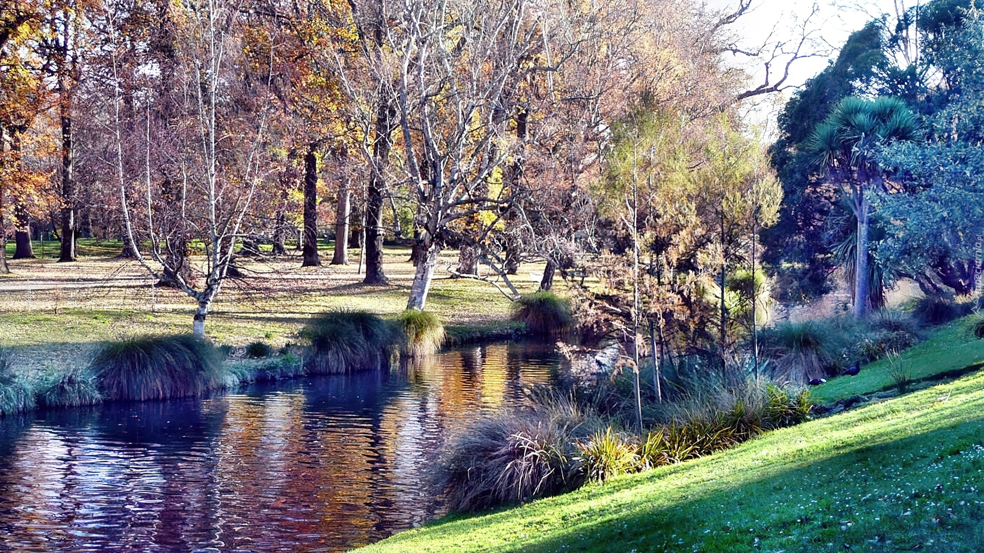 Lato, Park, Rzeka