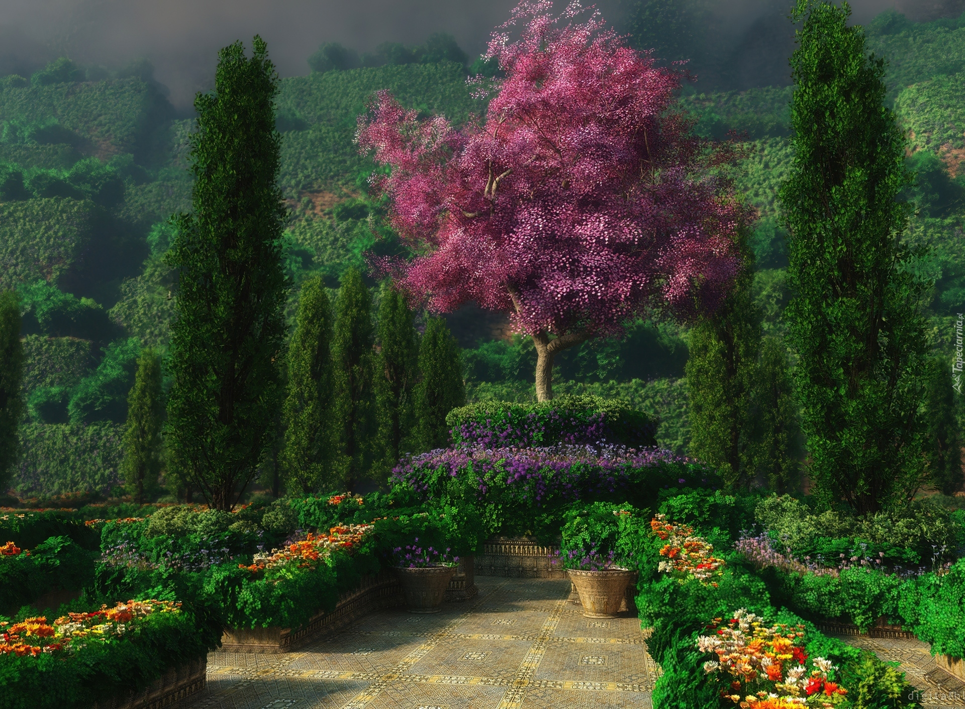 Ogród, Kwiaty, Bordowe, Drzewo