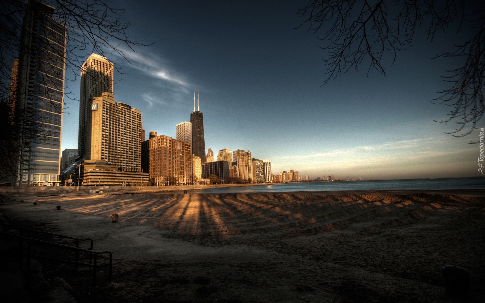 Chicago, Wieżowce