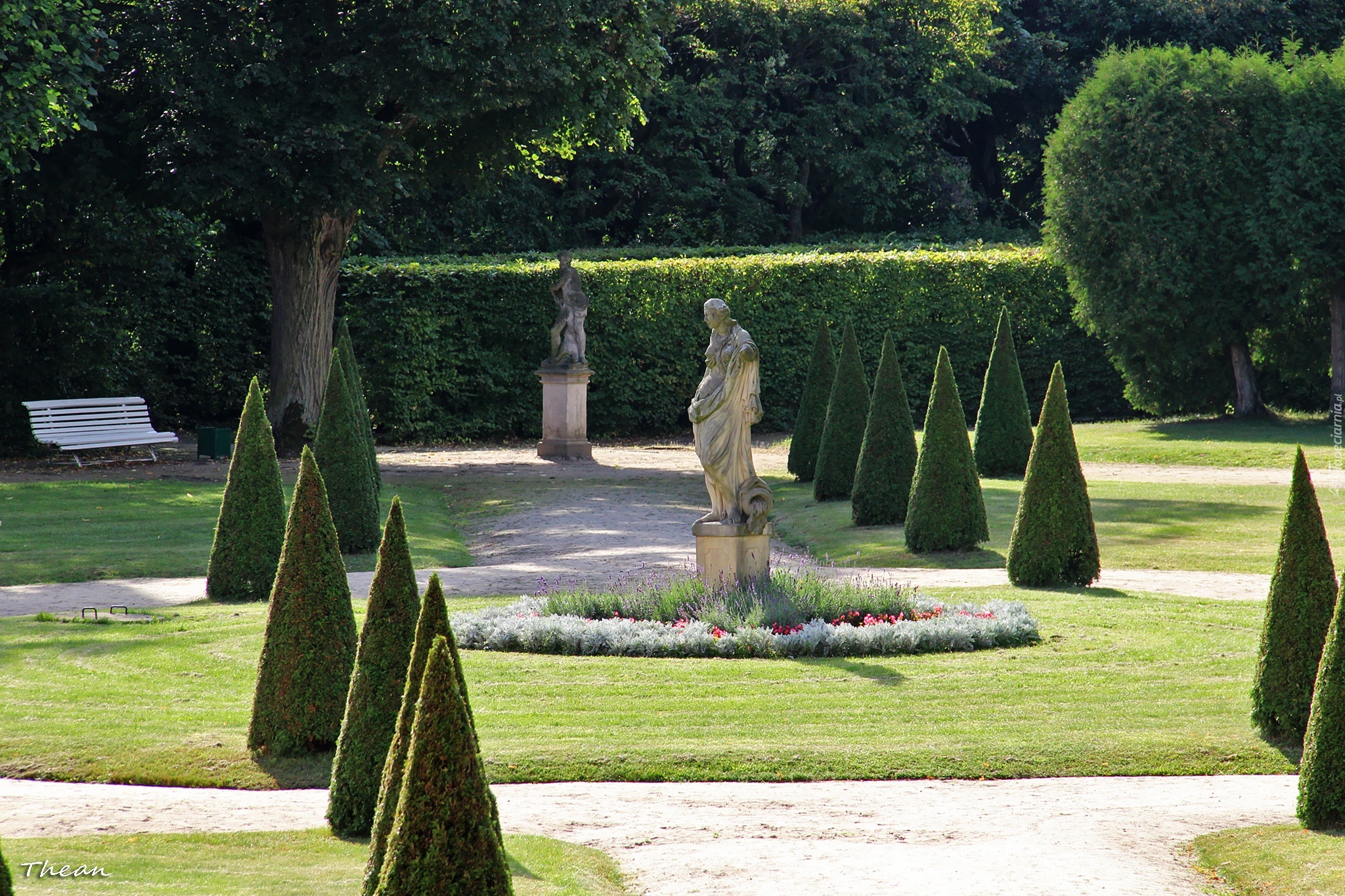 Park Raczyńskich, Rogalin, Posąg, Drzewa, Krzewy