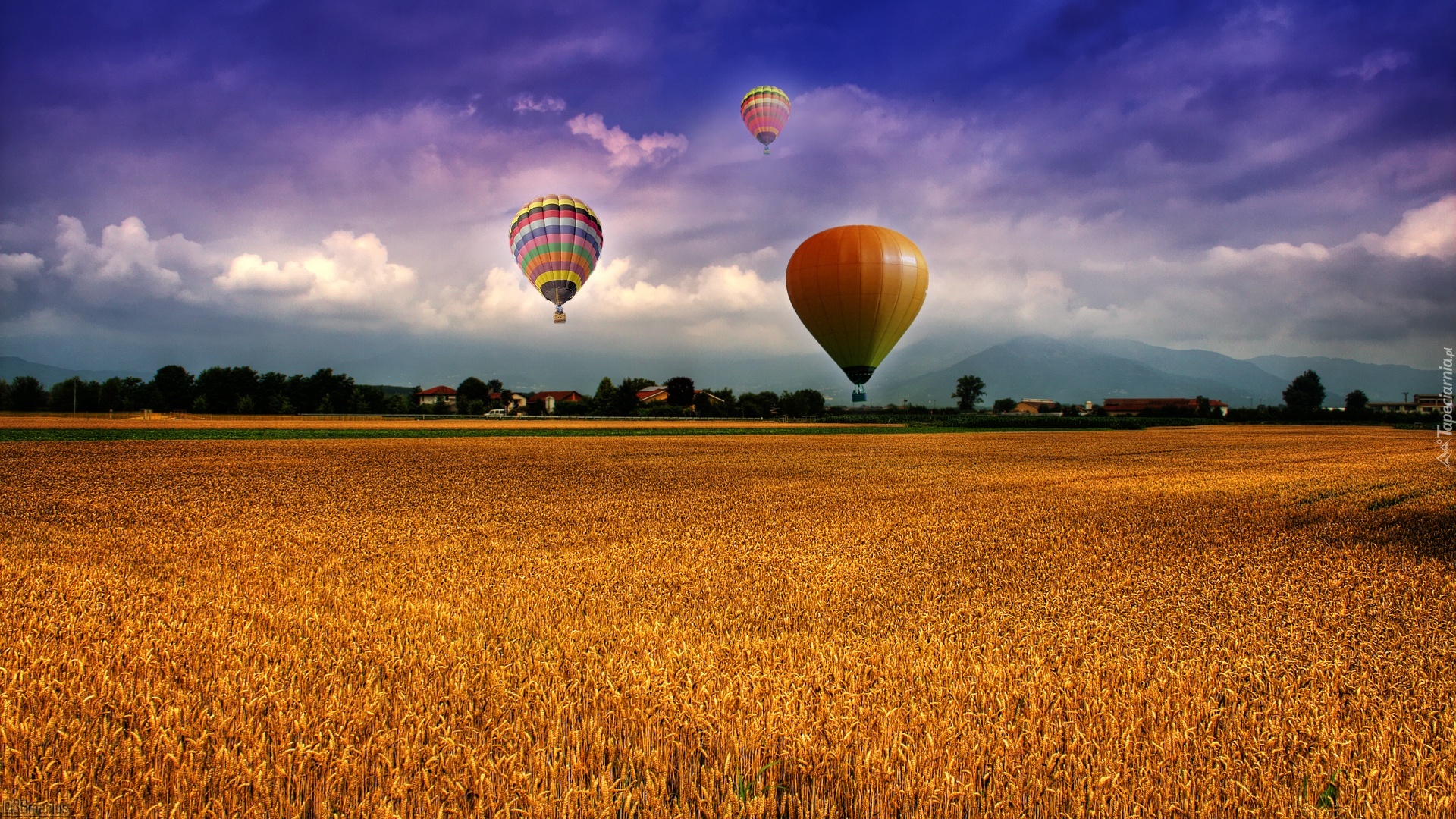 Balony, Pole, Zboże, Chmury