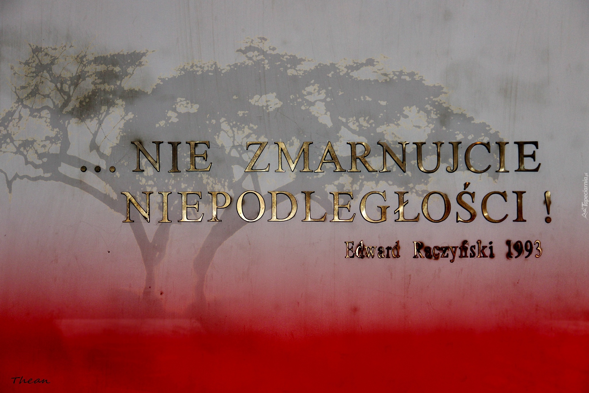 Nie Zmarnujcie Niepodległości, Napis, Patriotyzm