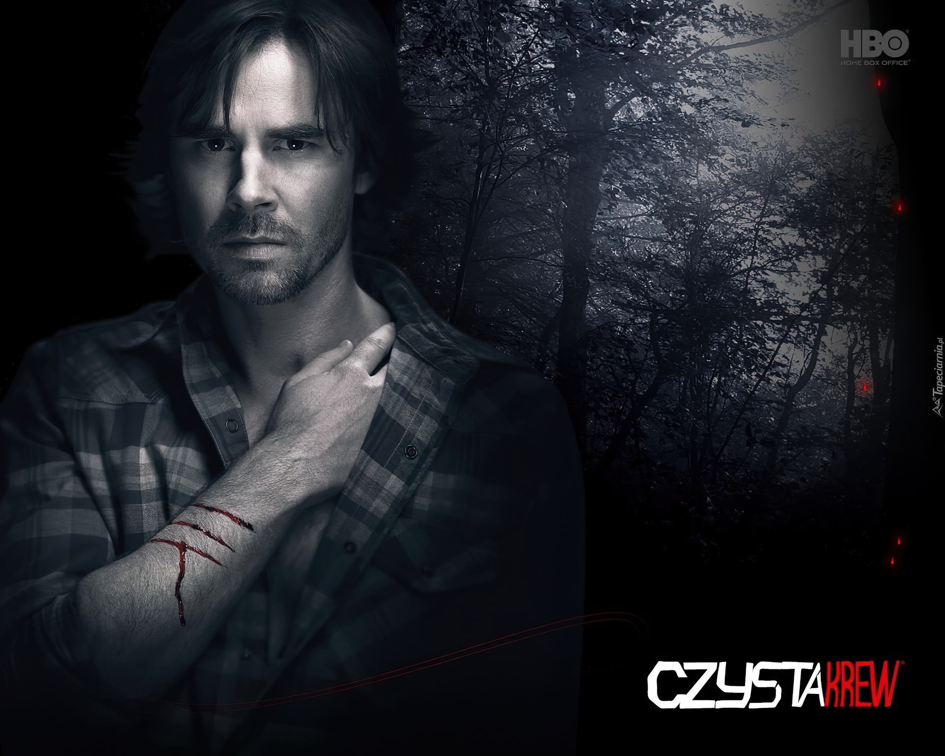 Czysta krew, True Blood, Sam - Sam Trammell