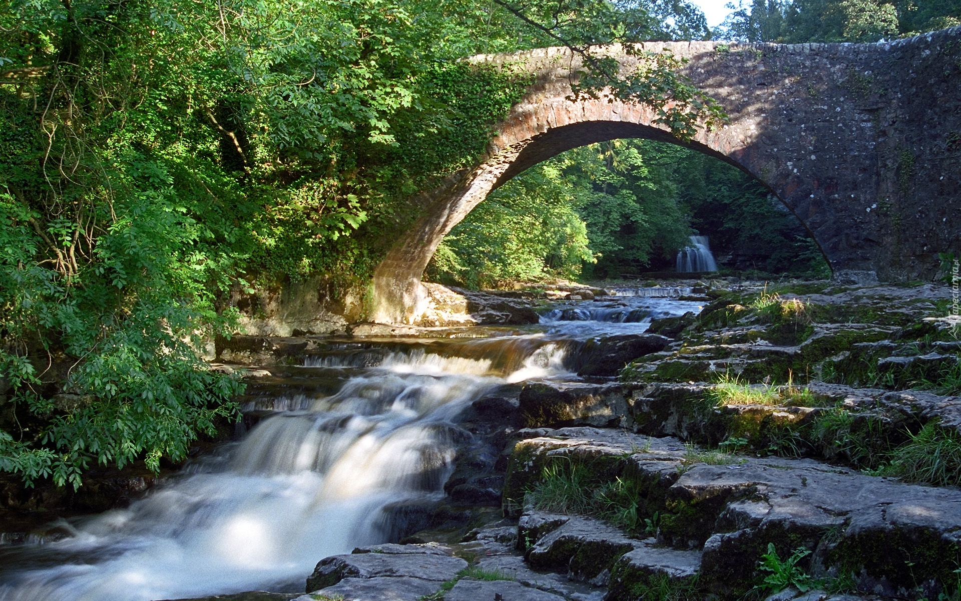 Rzeka, Kaskady, Most, Zieleń, Yorkshire, Anglia