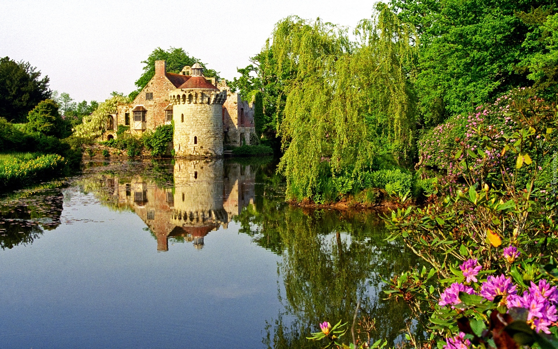 Zamek, Jeziorko, Kwiatki, Drzewa, Kent, Anglia