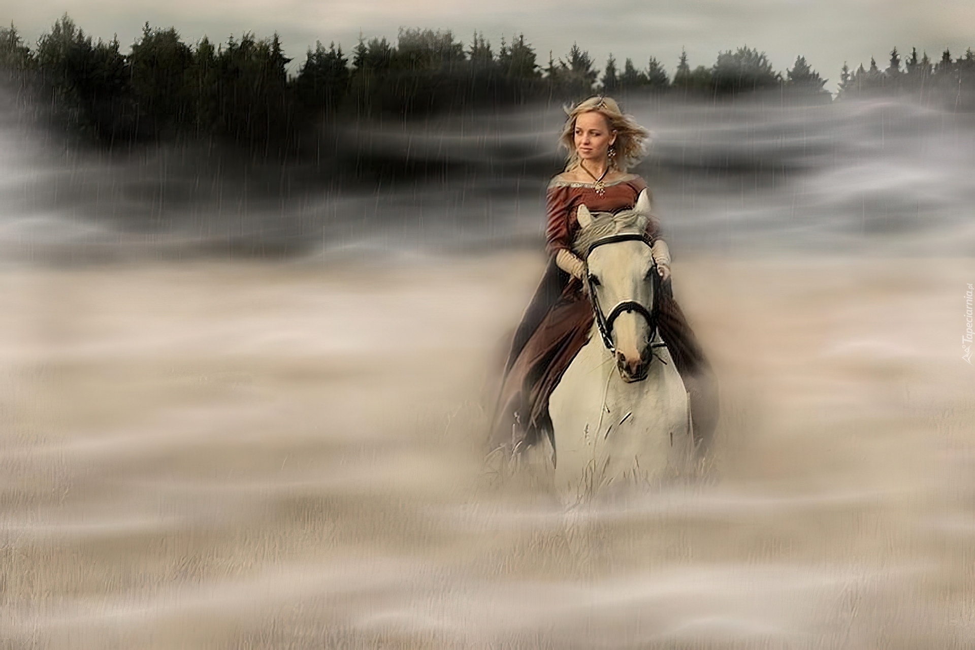 Догнал красивую. Девушка на коне в тумане. Девушка на лошади в тумане. Лошадь мчится. Девушка мчится на лошади.