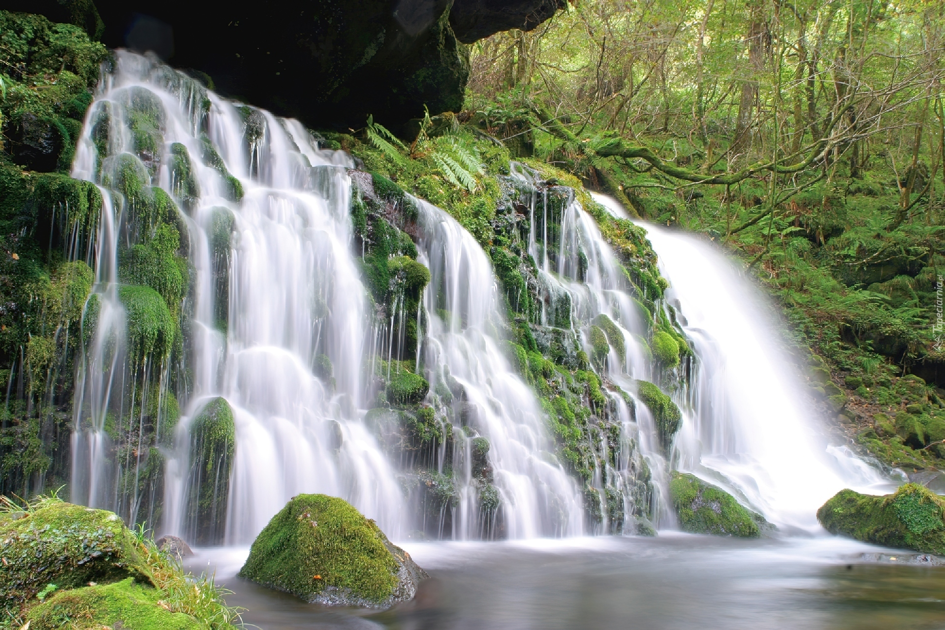 Interest in nature. Живописный уголок водопадов. Водопад панорама. Префектура Акита водопады. Водопады 600 600.