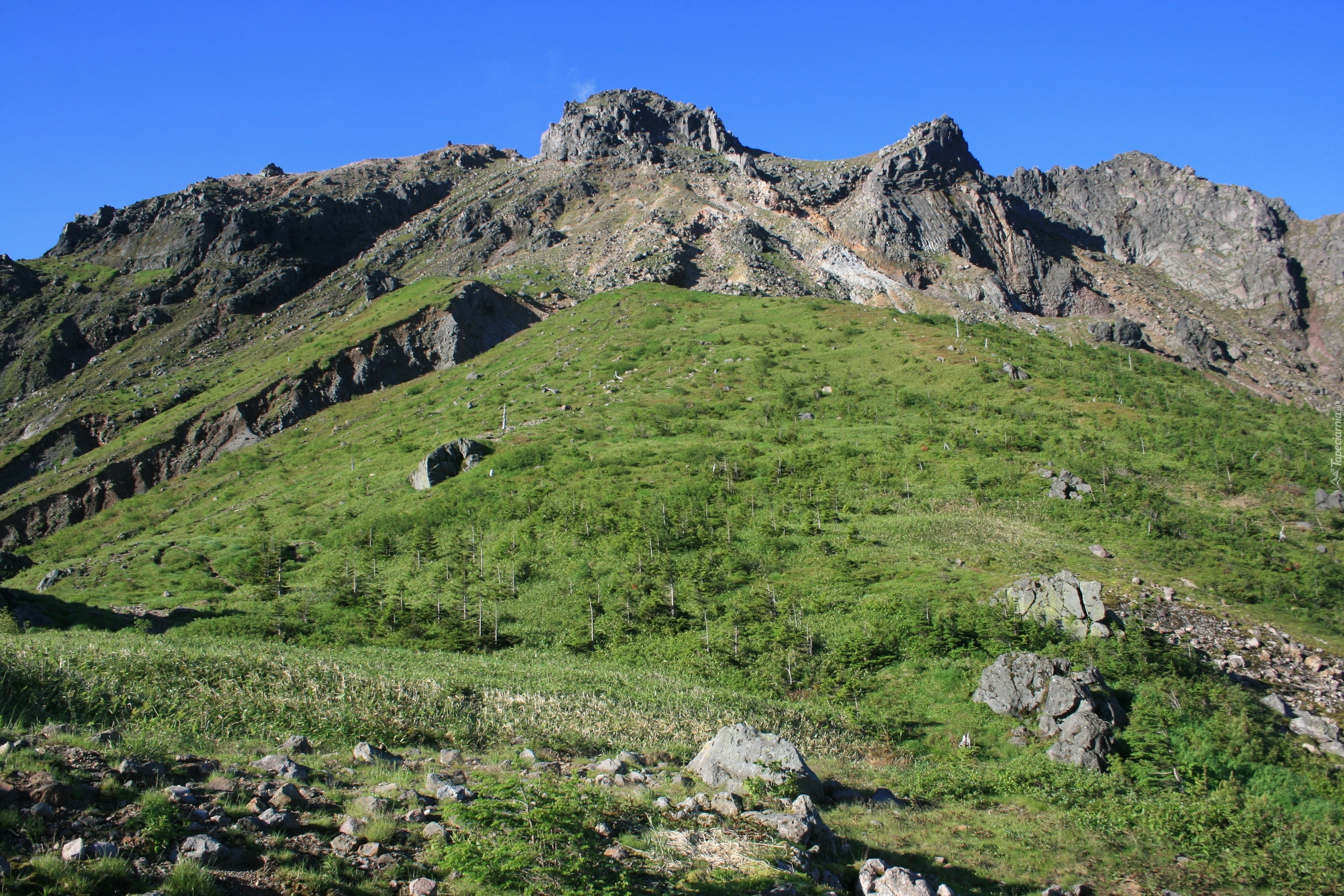 Góra, Drzewa, Skały