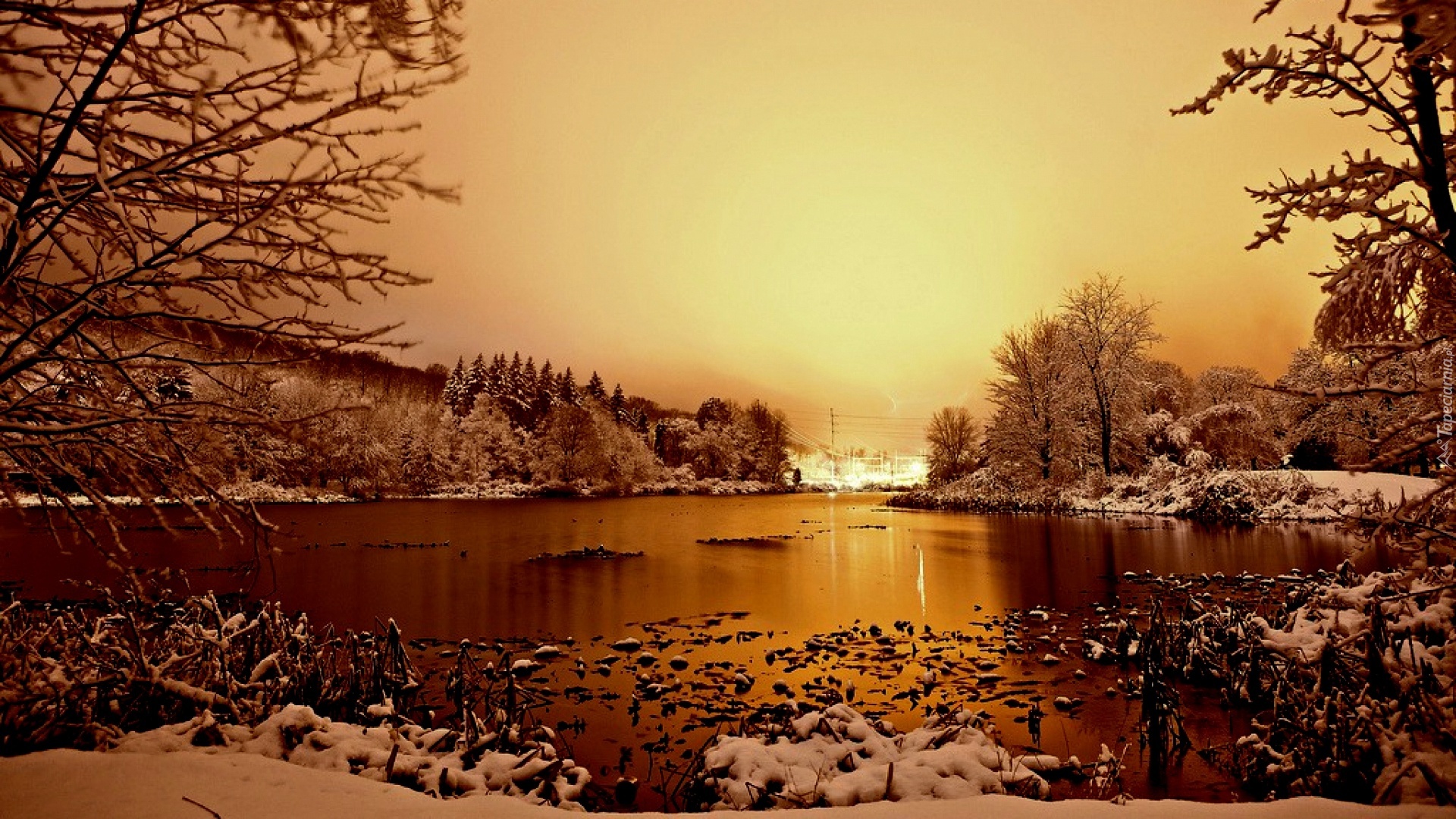 Jezioro, Park, Zima