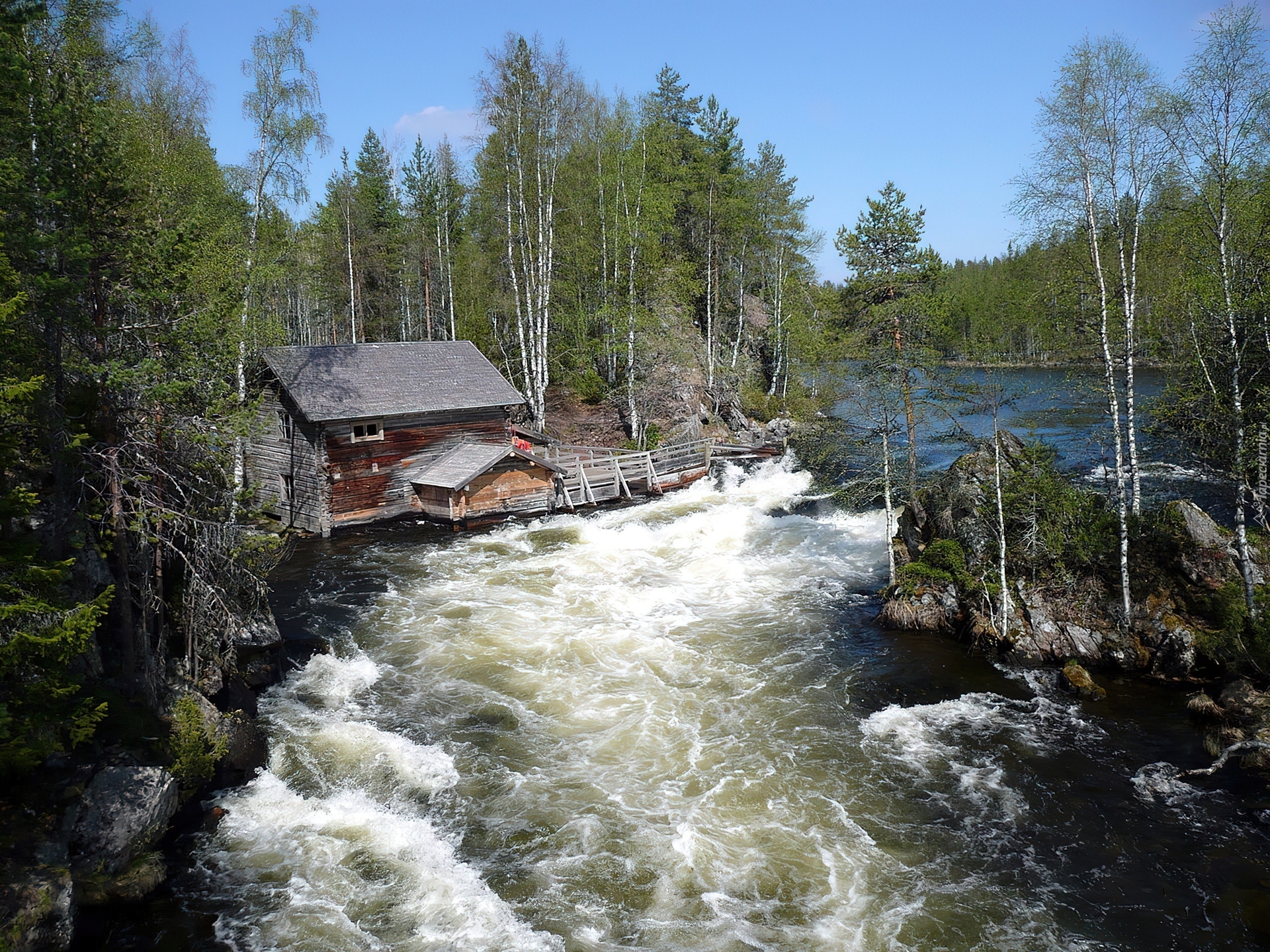 Finlandia, Park Narodowy Oulanka, Rzeka, Zalesione, Brzegi, Domek