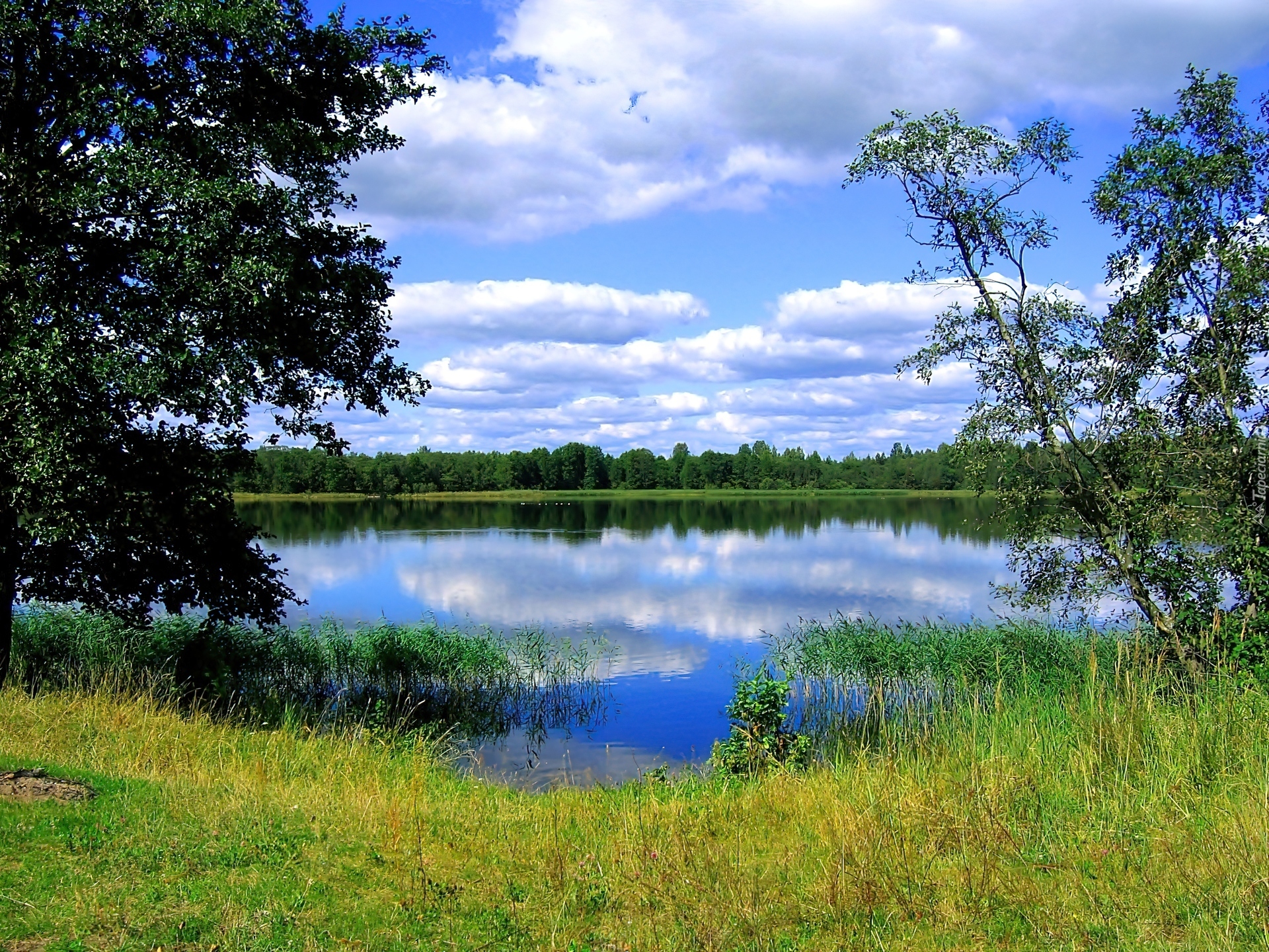 Озеро здесь шире. Озеро Кюльхири. Озеро Кюльхири Вурнарский. Лесное озеро Гатчинский район. Берег озера.