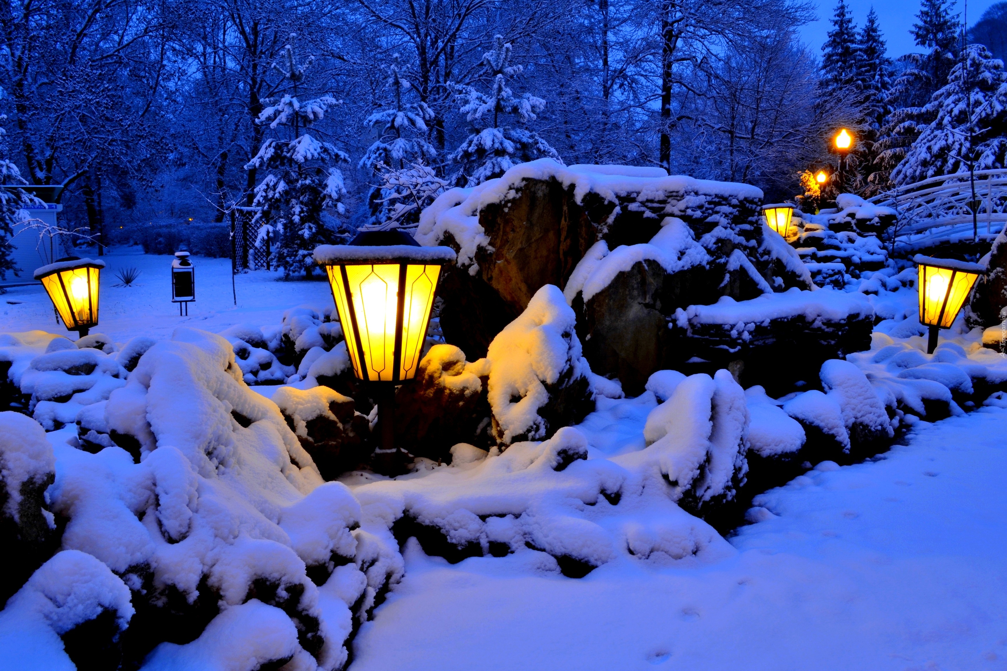 Lampy, Zima