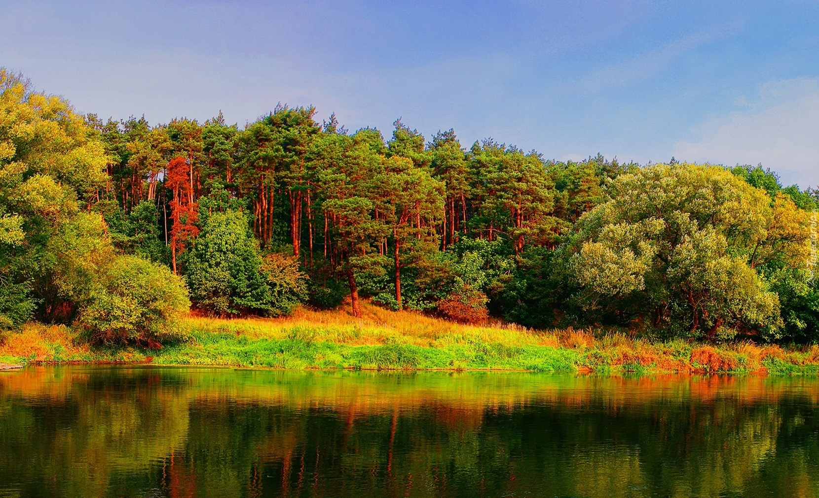 Las, Jezioro