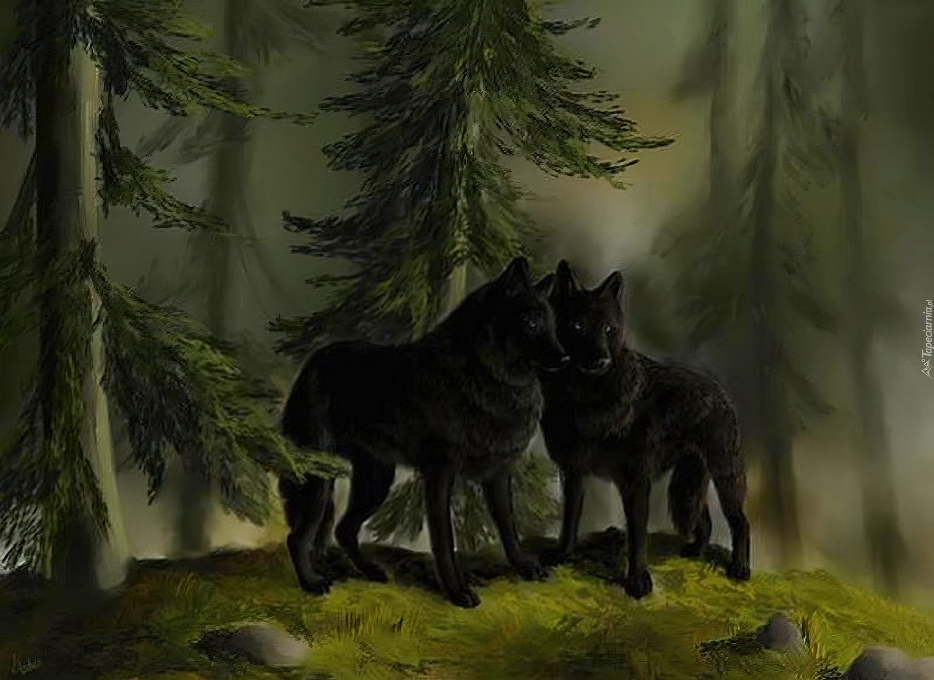 Ночь волков читать. Черный волк. Волк в лесу. Волк арт. Черная волчица.