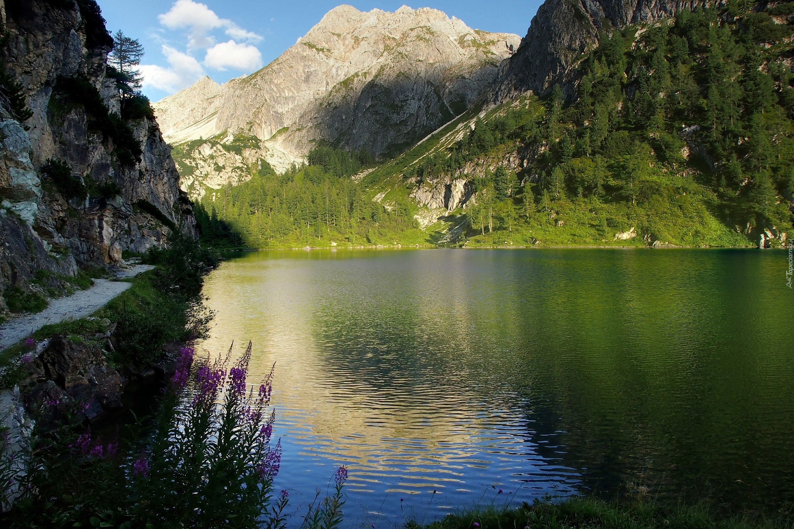 1 любое озеро. Озеро Рица. Озеро Рица 8k. Озеро Рокалуччи. Горы с водоемом.