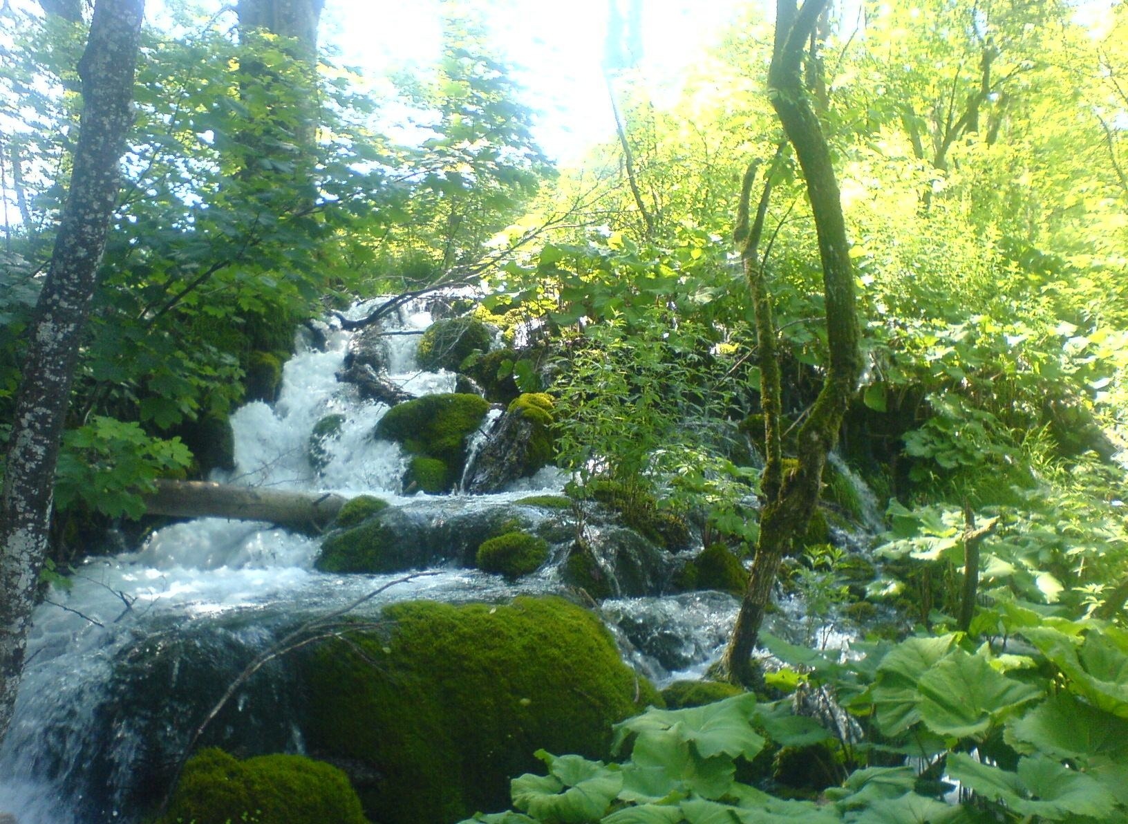 Wodospad, Kamienie, Drzewa, Plitvice
