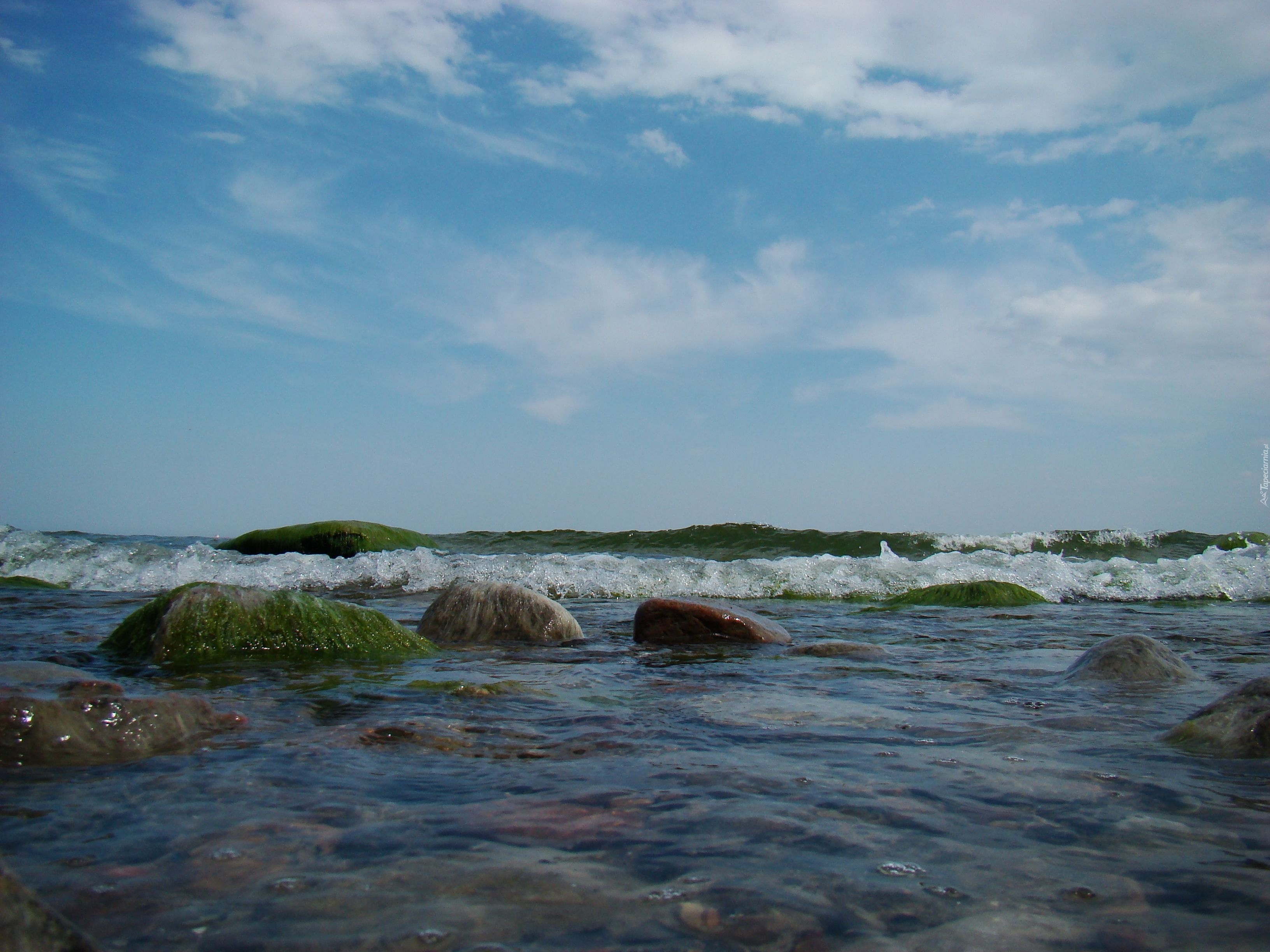 Gdynia Orłowo, Fala, Kamienie